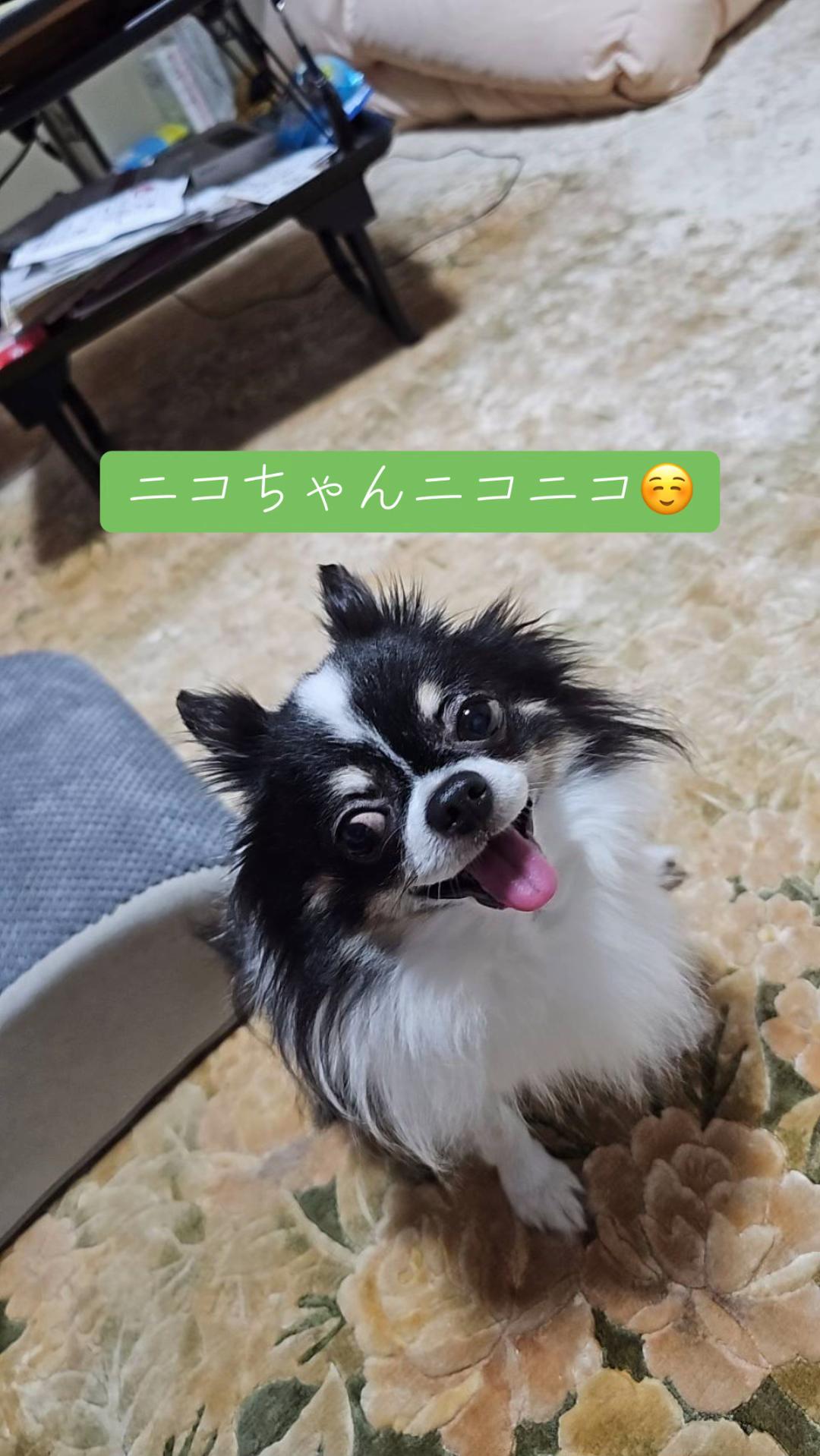 @ヒロキ