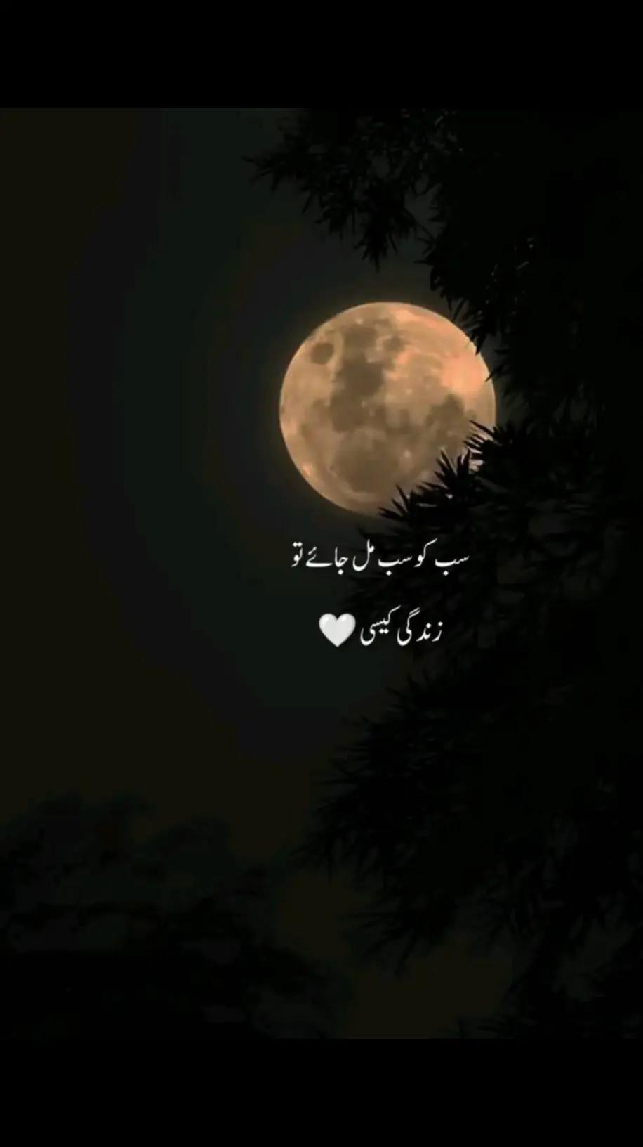 @wafa baloch