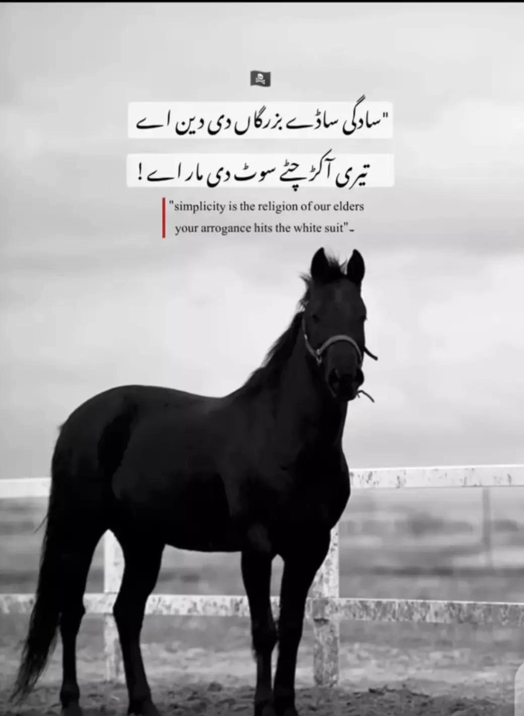 @مطاہر انصاری