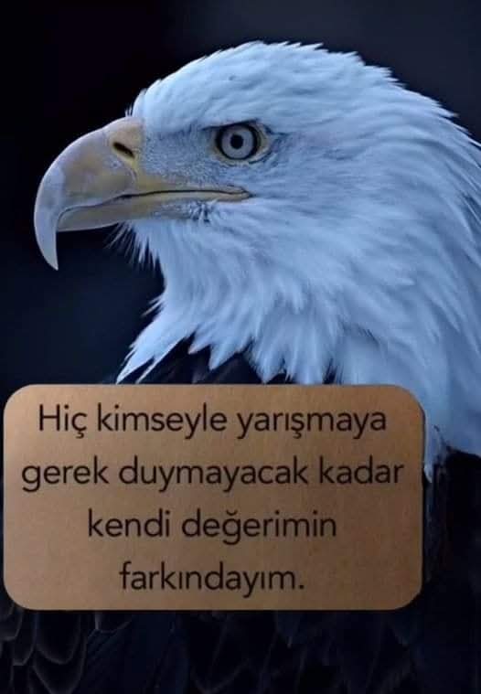 @horozcu_31