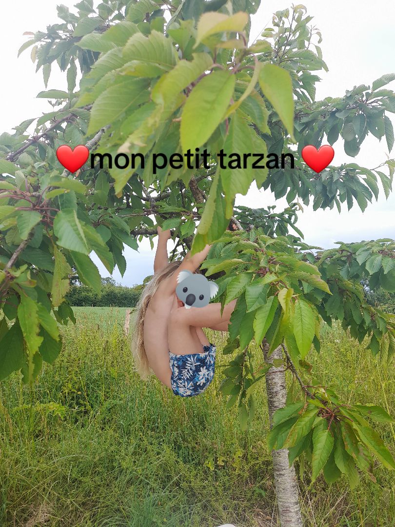 @steevy.50