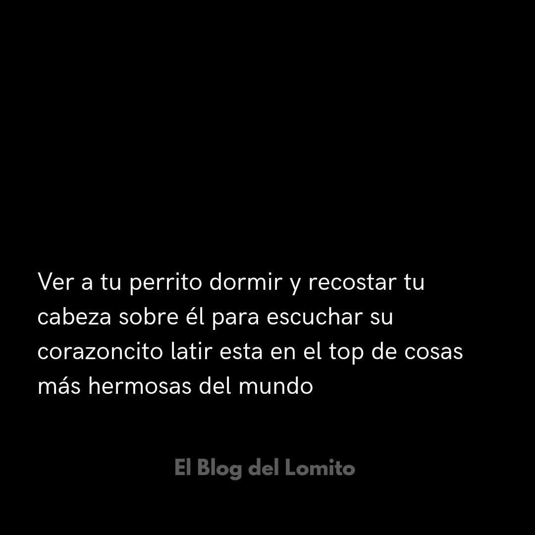@Fredy 🦕