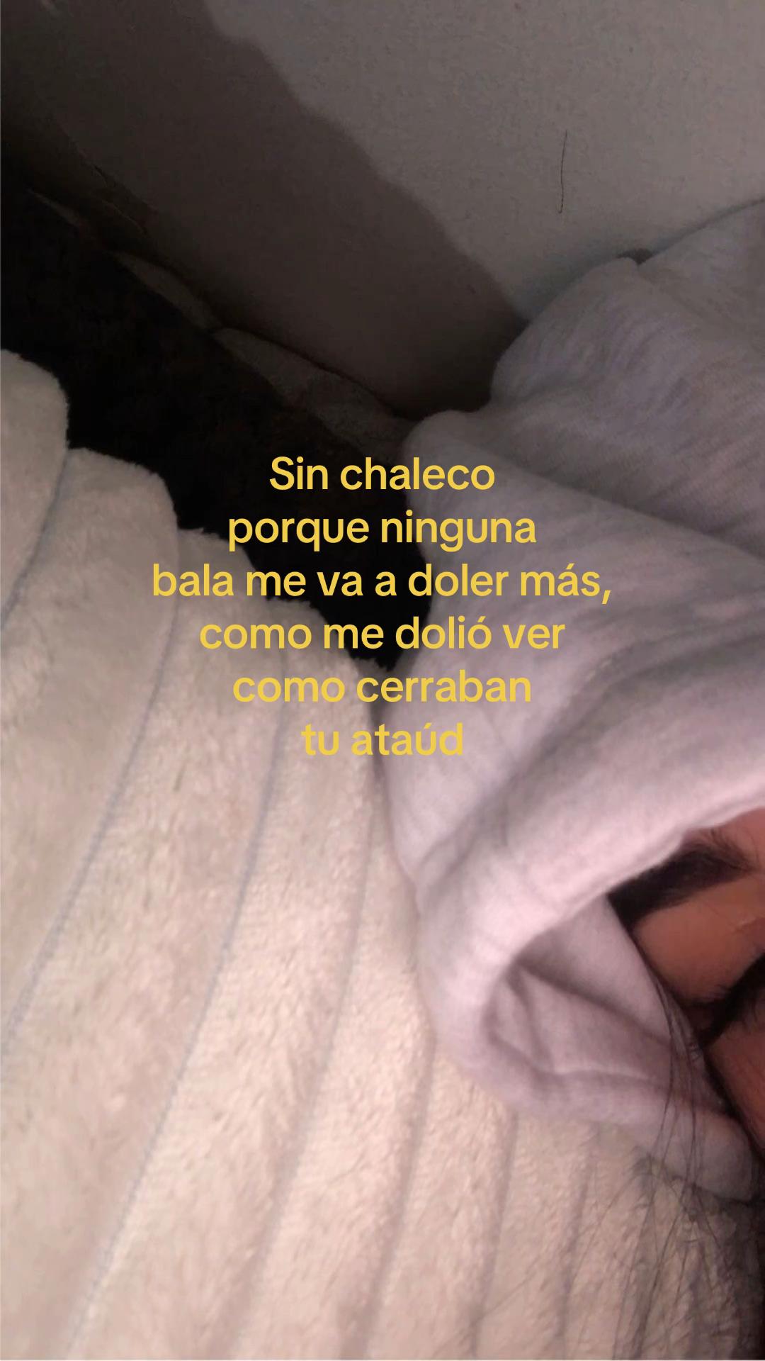 @Flor 🌺