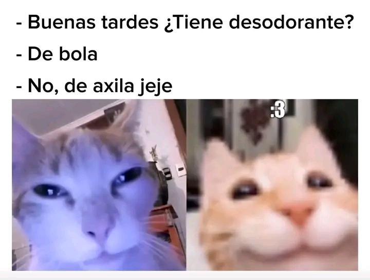 @Freddy QH