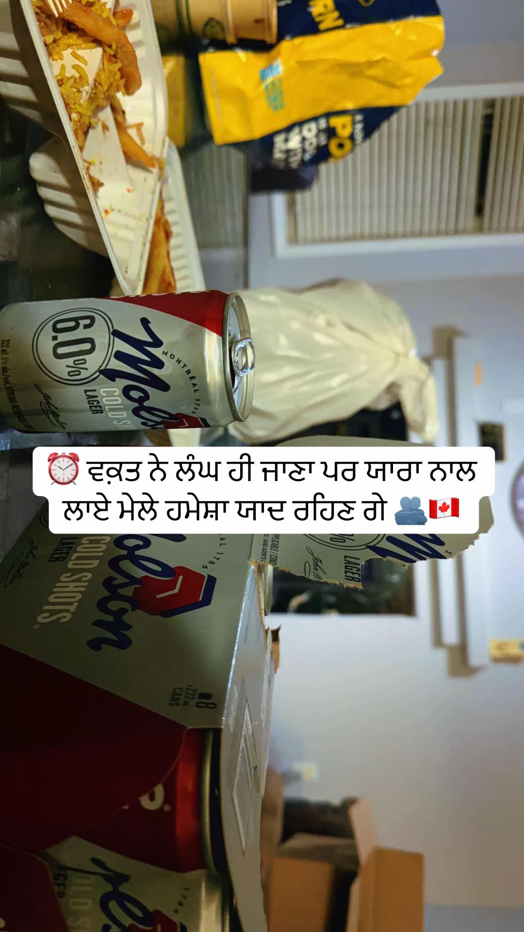 @vehlijanta761