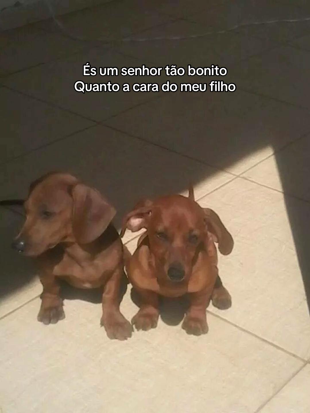 @Mariana