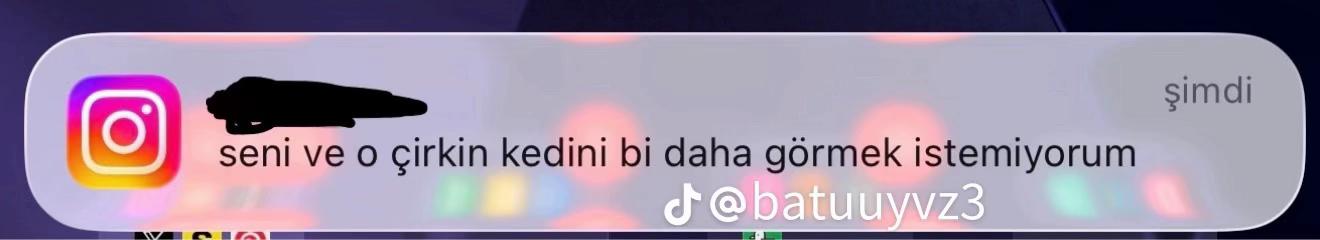 @siinemsena