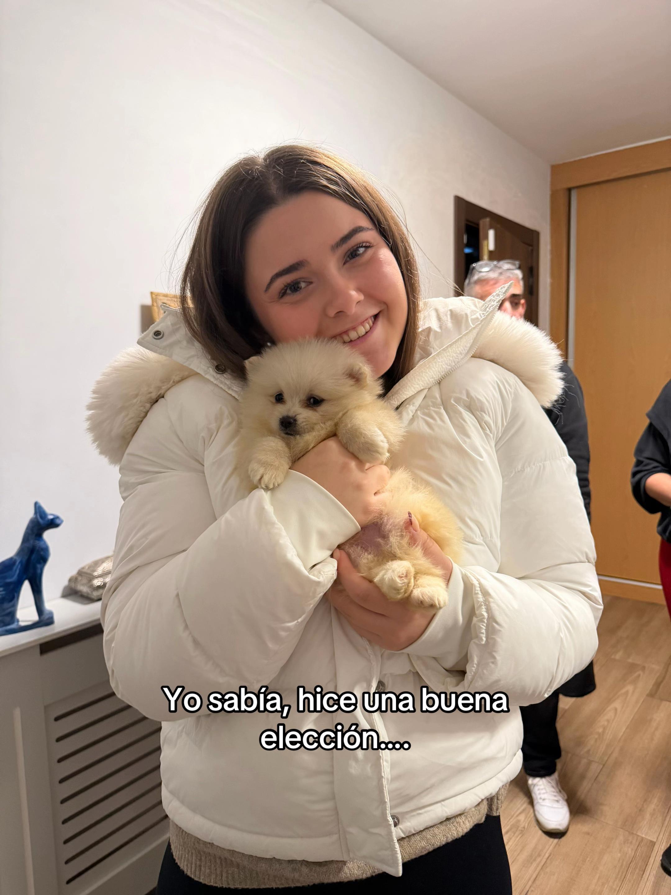 @bea