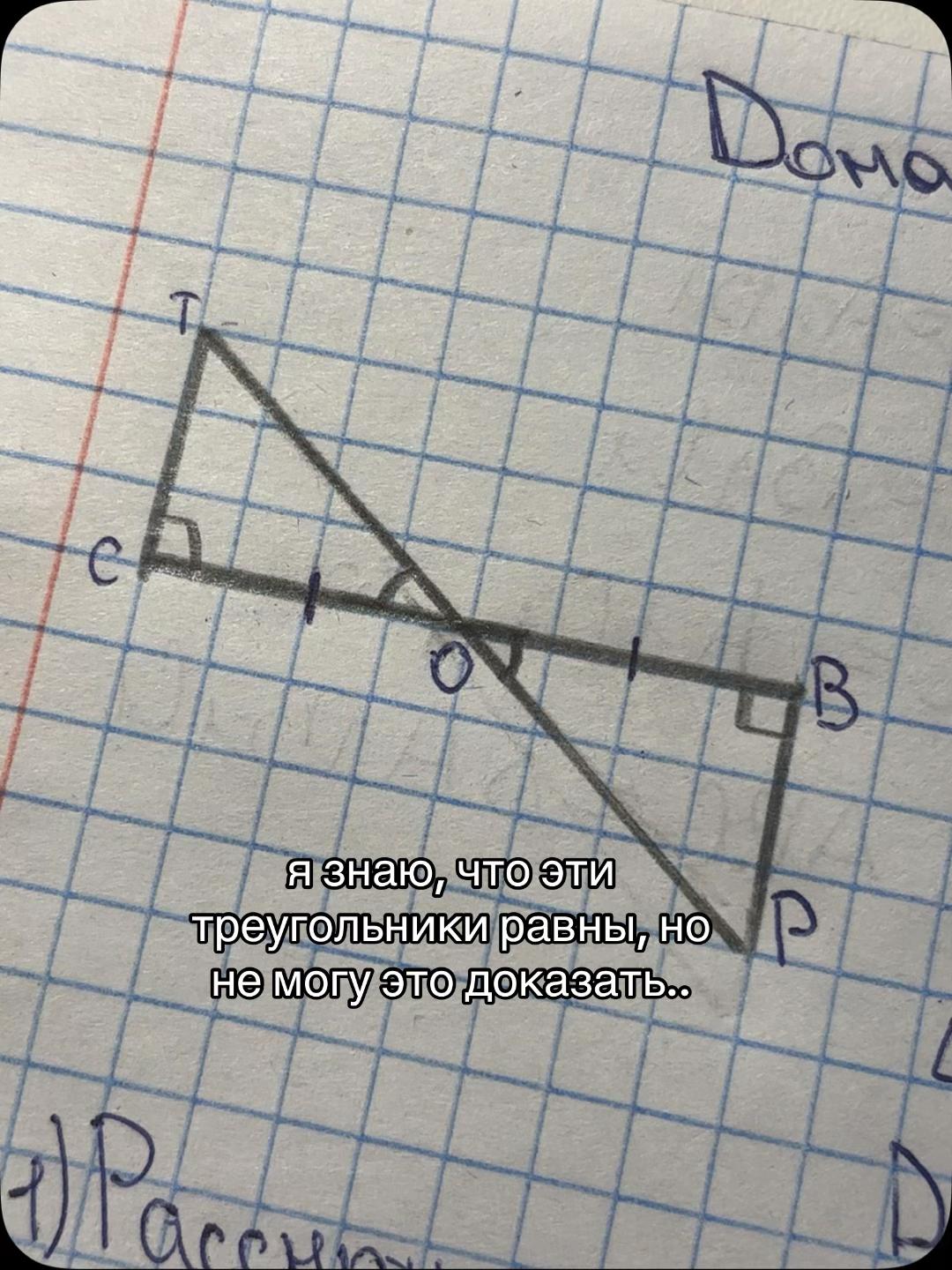 @саша лол 🦄
