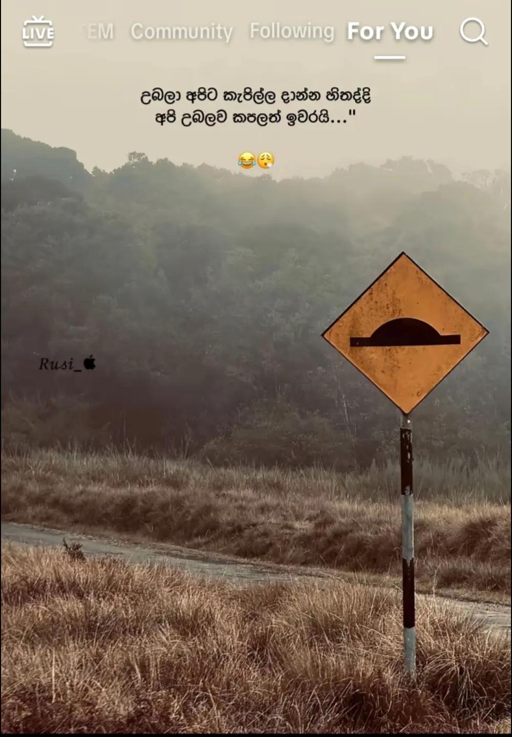 @B 2004☠️