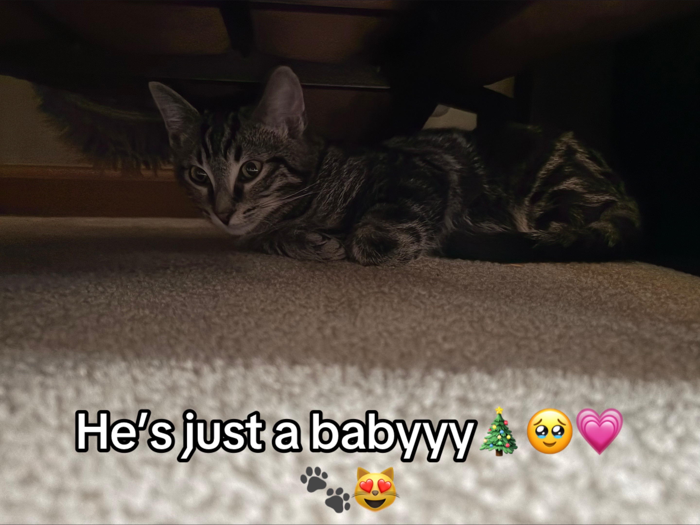 @jazzyyyyjess