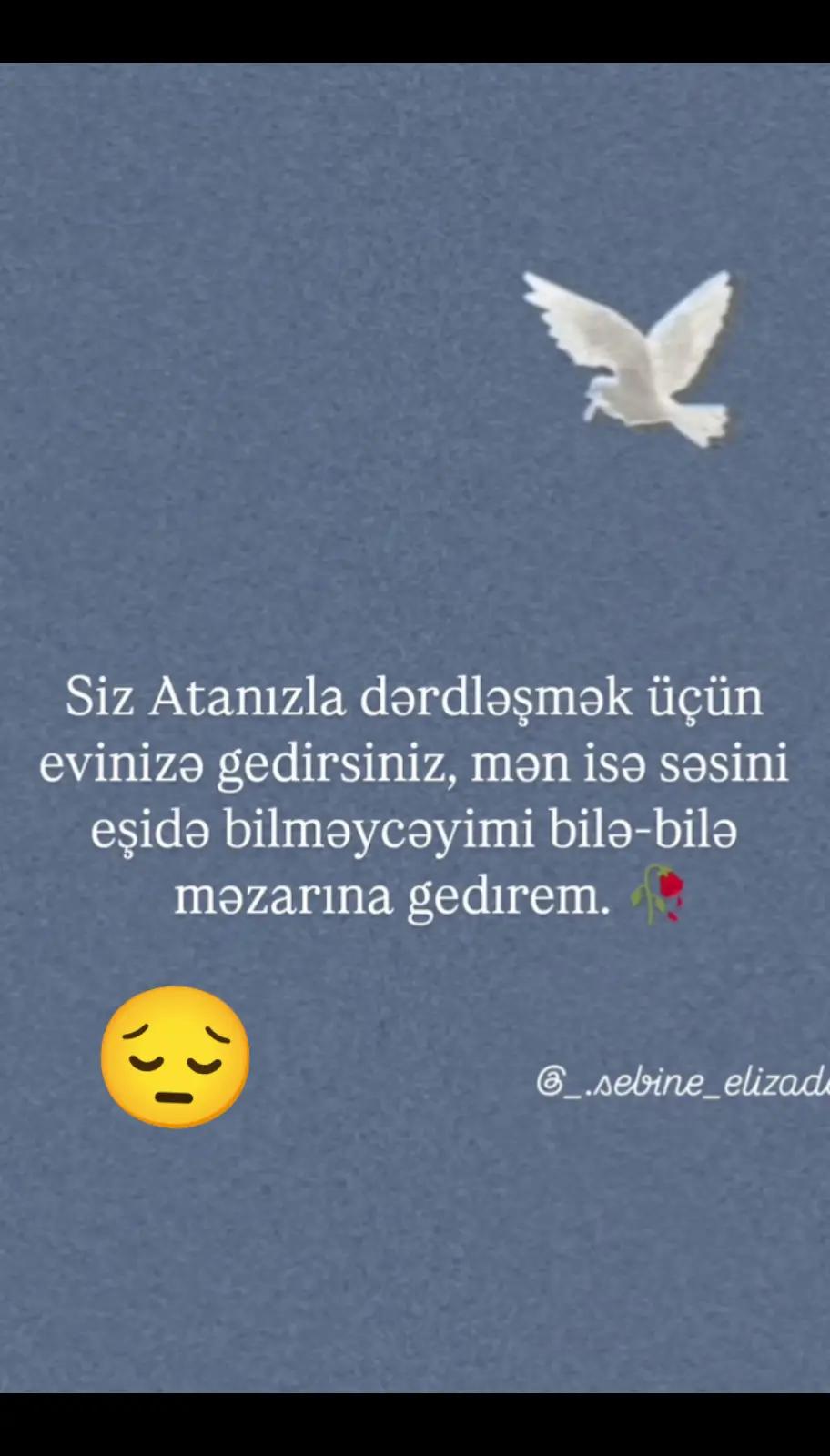 @❤️ Alimirzayeva❤️