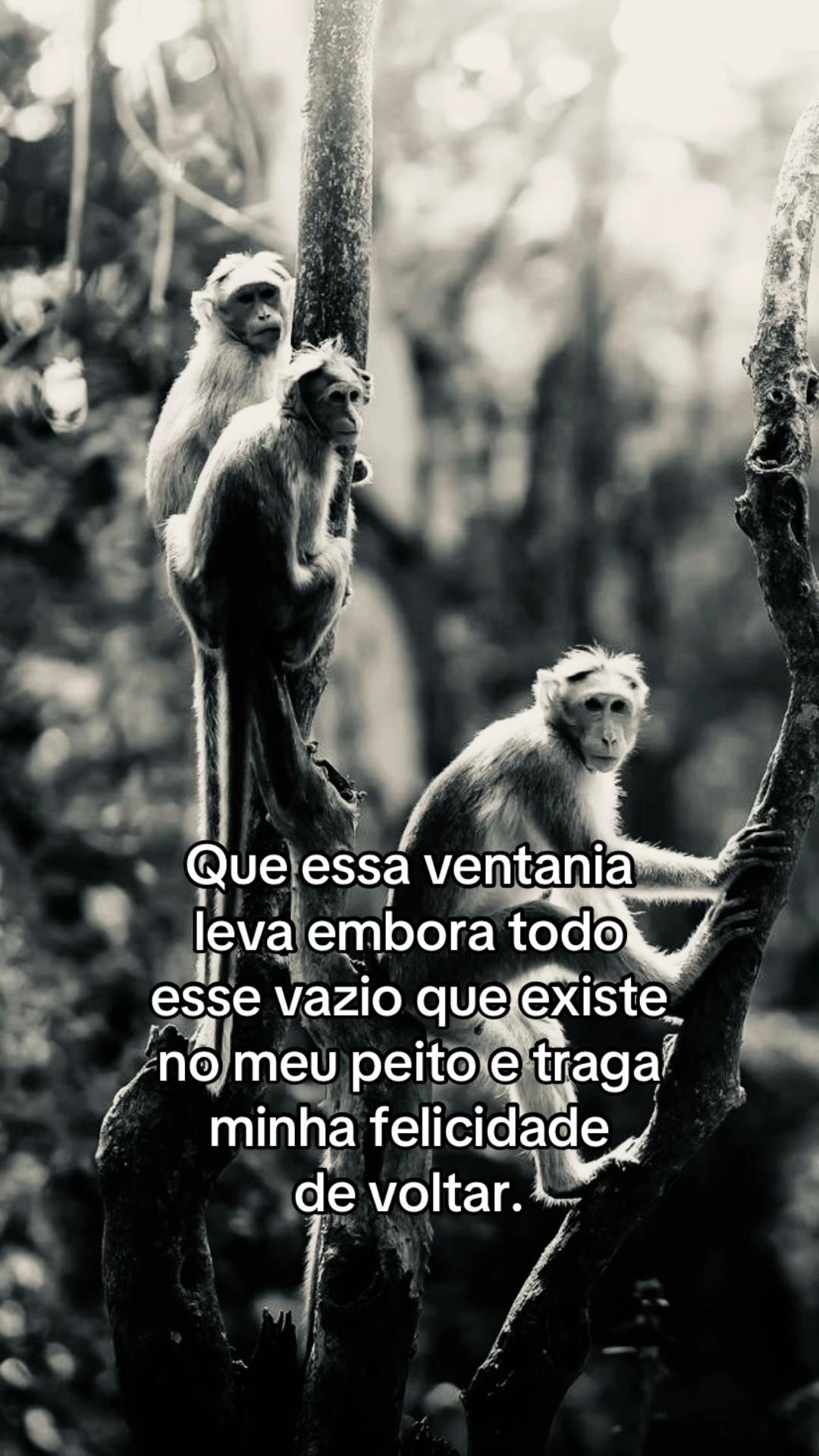 @junin 