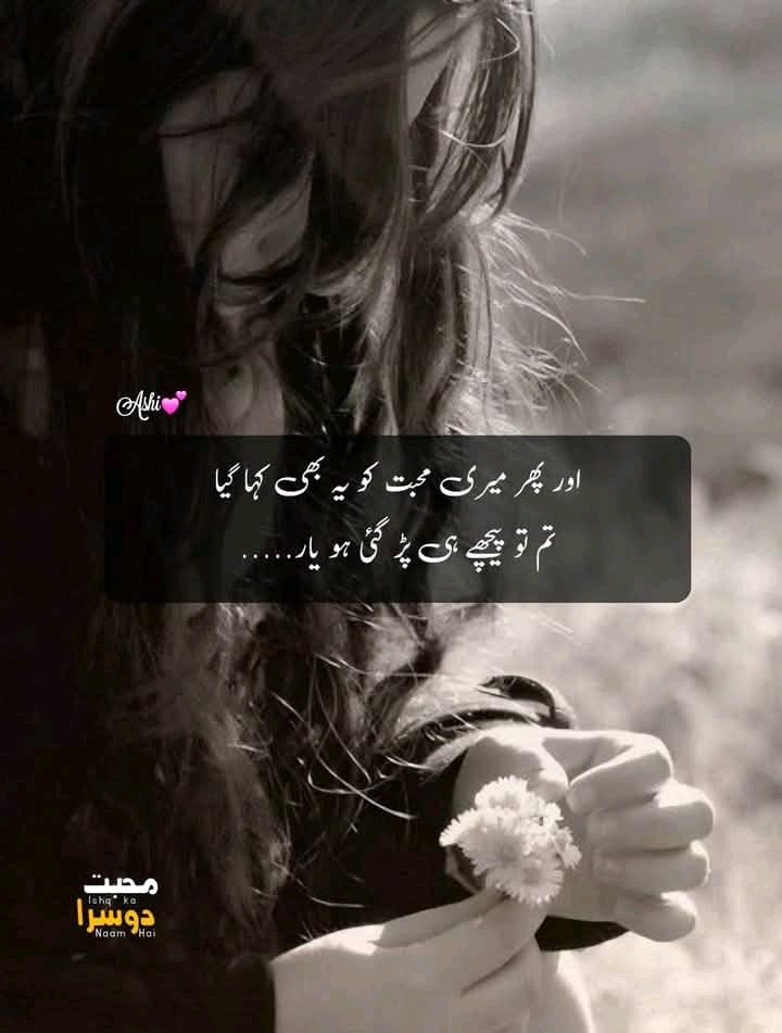 @kitty Doll
