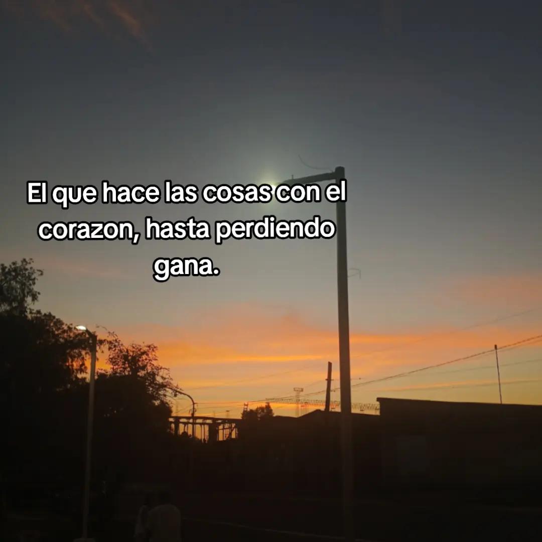 @Gonza_24