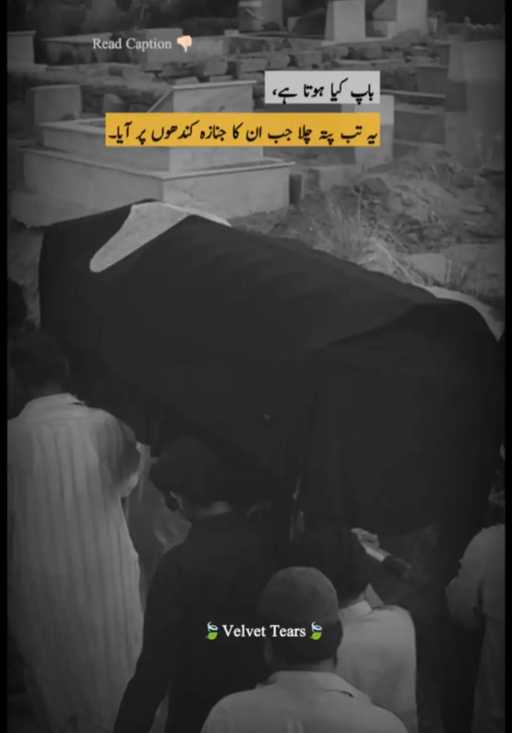 @🦅🔹نعمان اقبال نظامانی