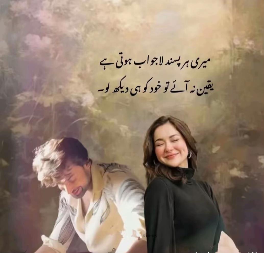 @Rana Ahsan 087