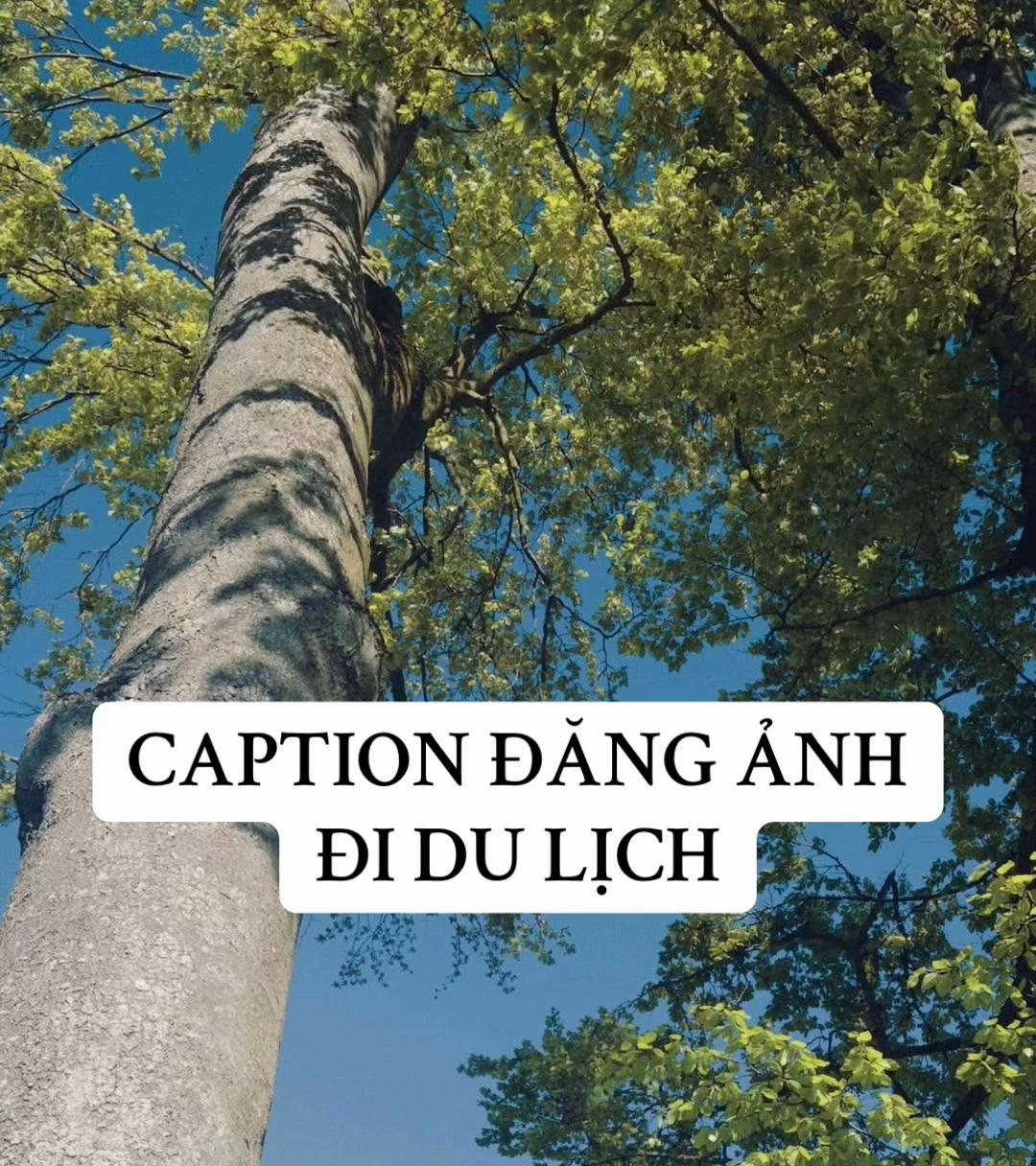 @Hạ Vy