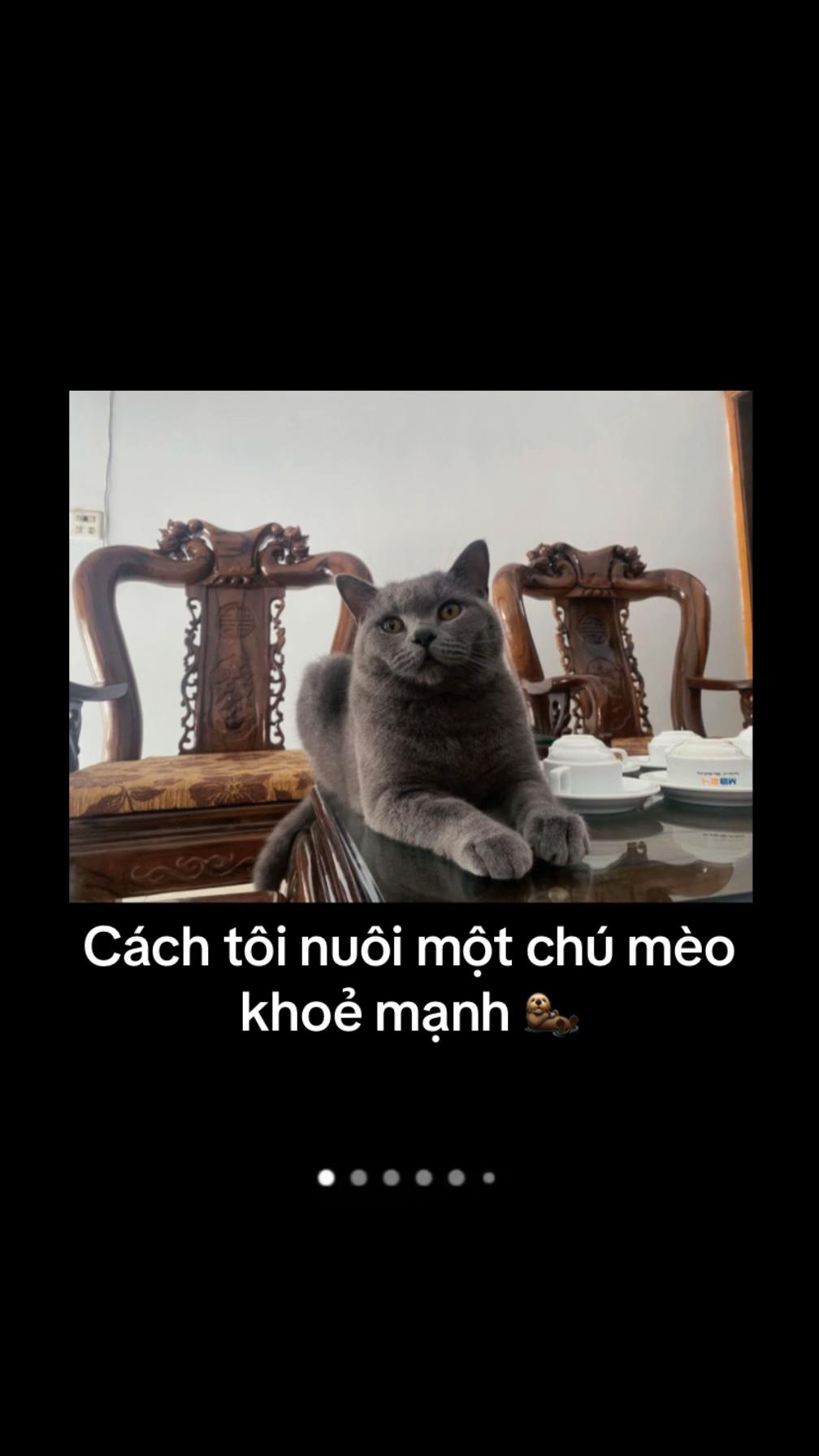 @Tuanminh202