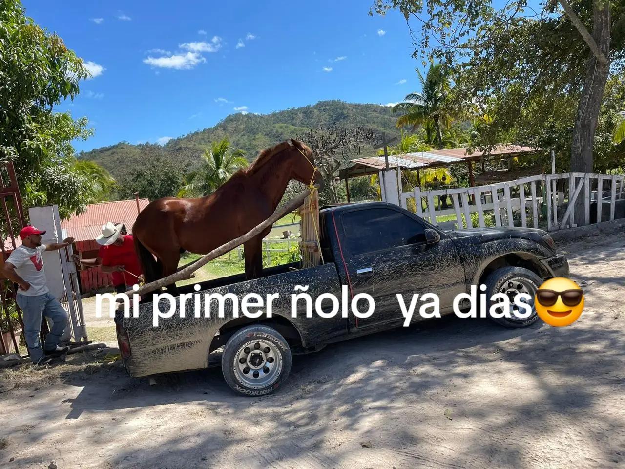 @Jose carlos sierra 😎