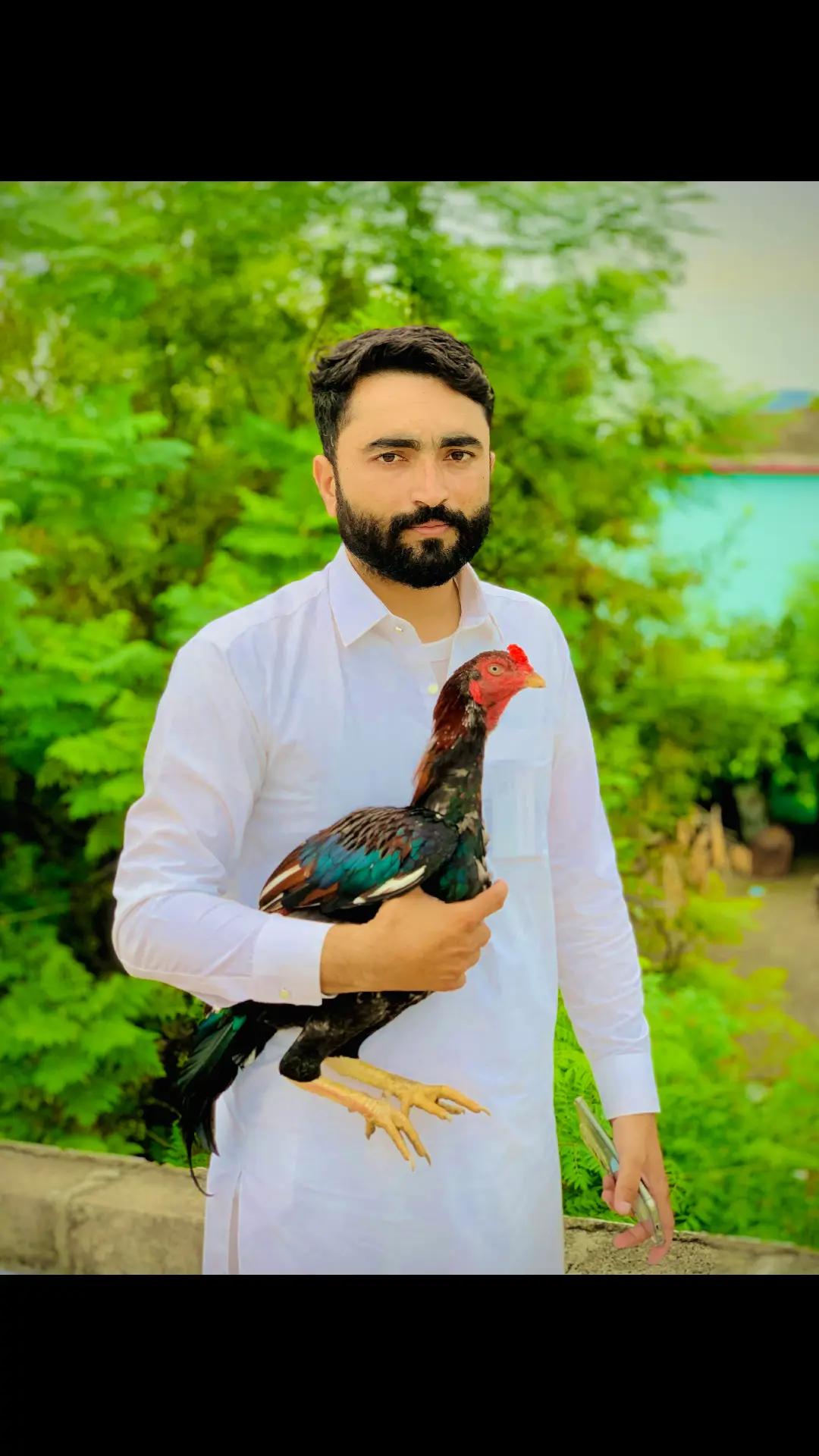 @🌿Syed IftiKHaR SHaH🌿