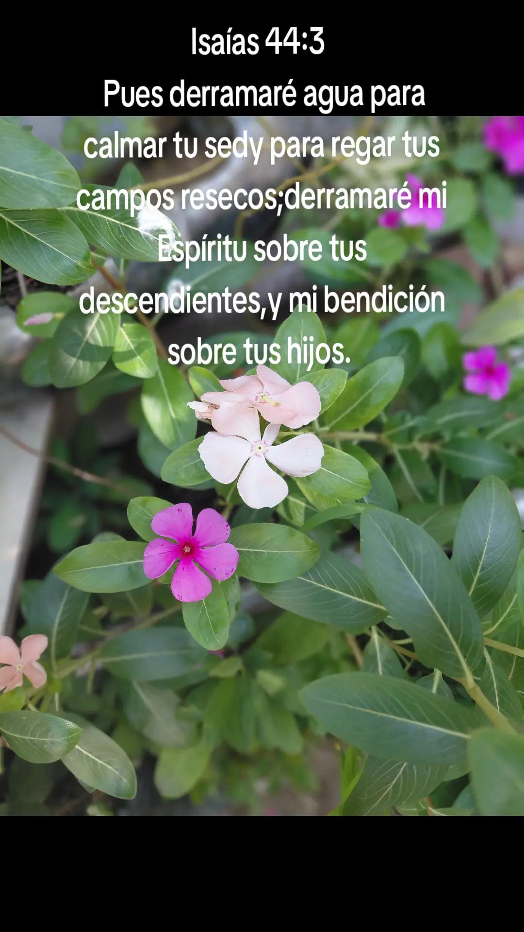 @Patricia Berdugo