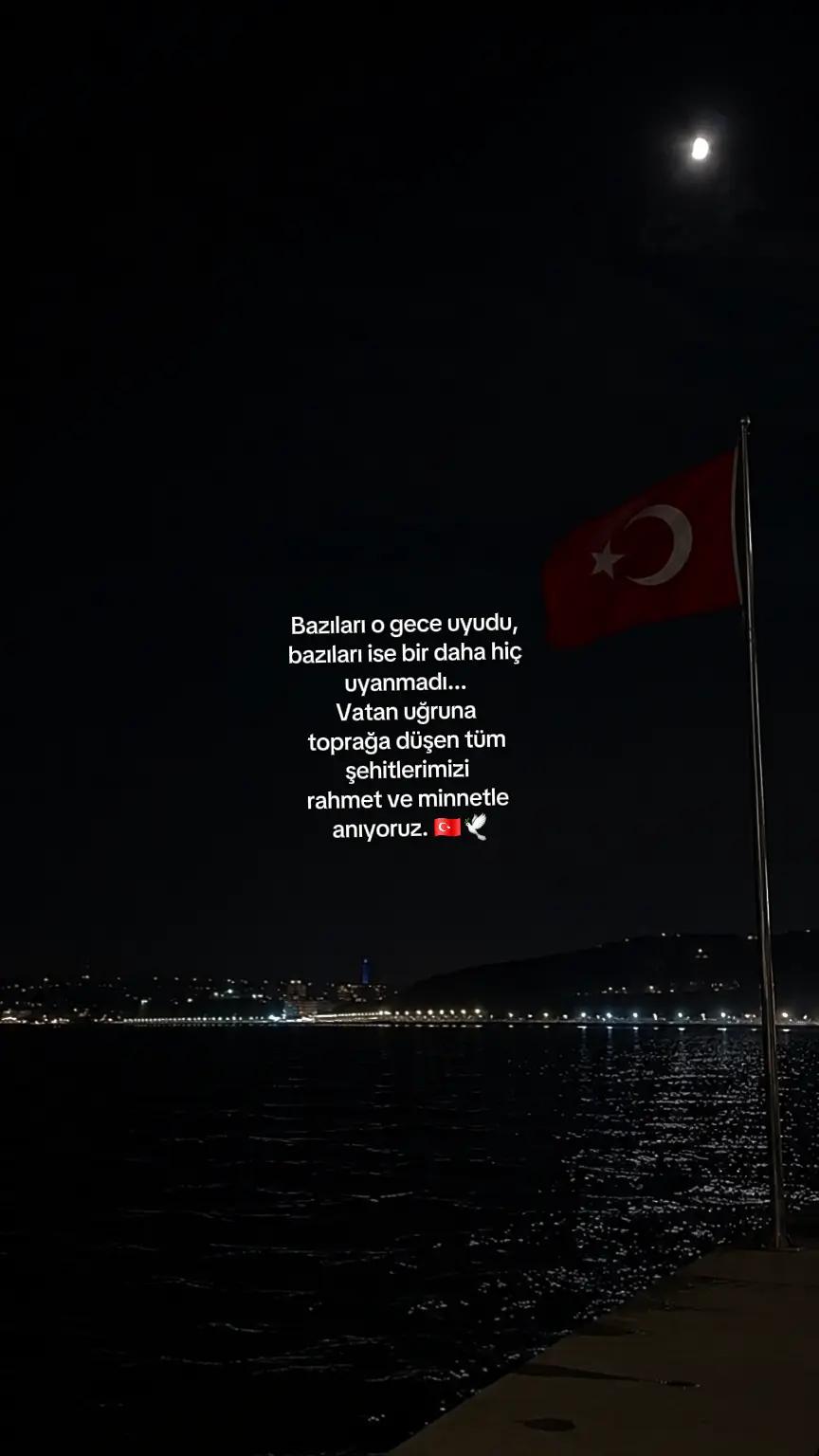 @merve ♪