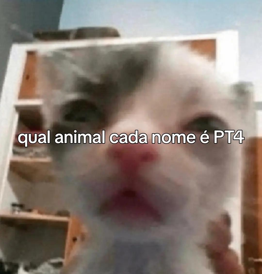 @✹🖕🐯l&ecirc; tigronica🧡🤑✹