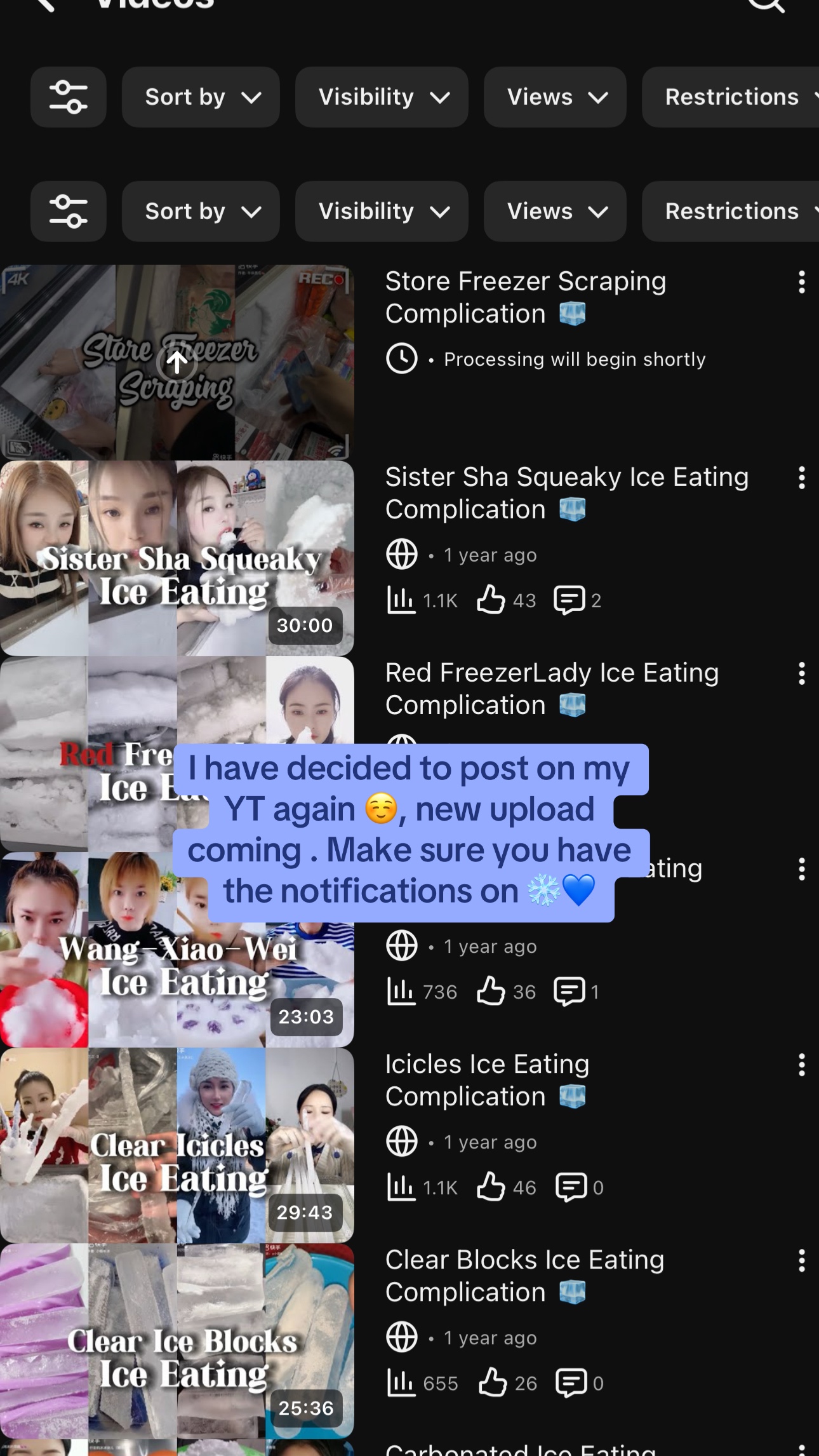 @ICEE🩷