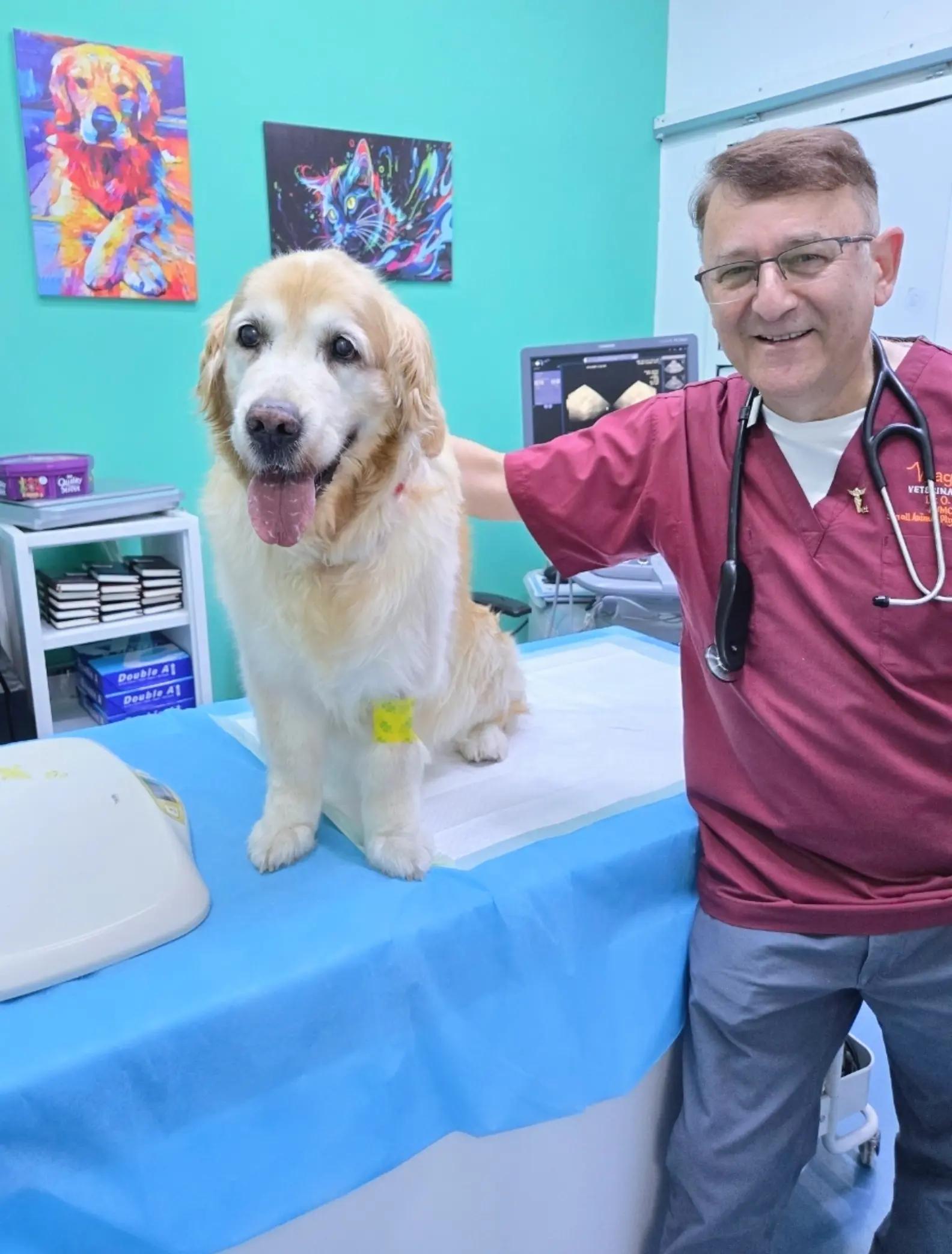 @VillagevVet LLC