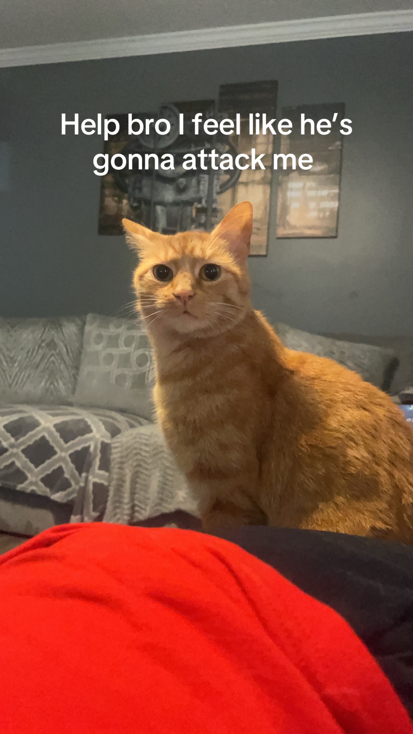@kittencattuff
