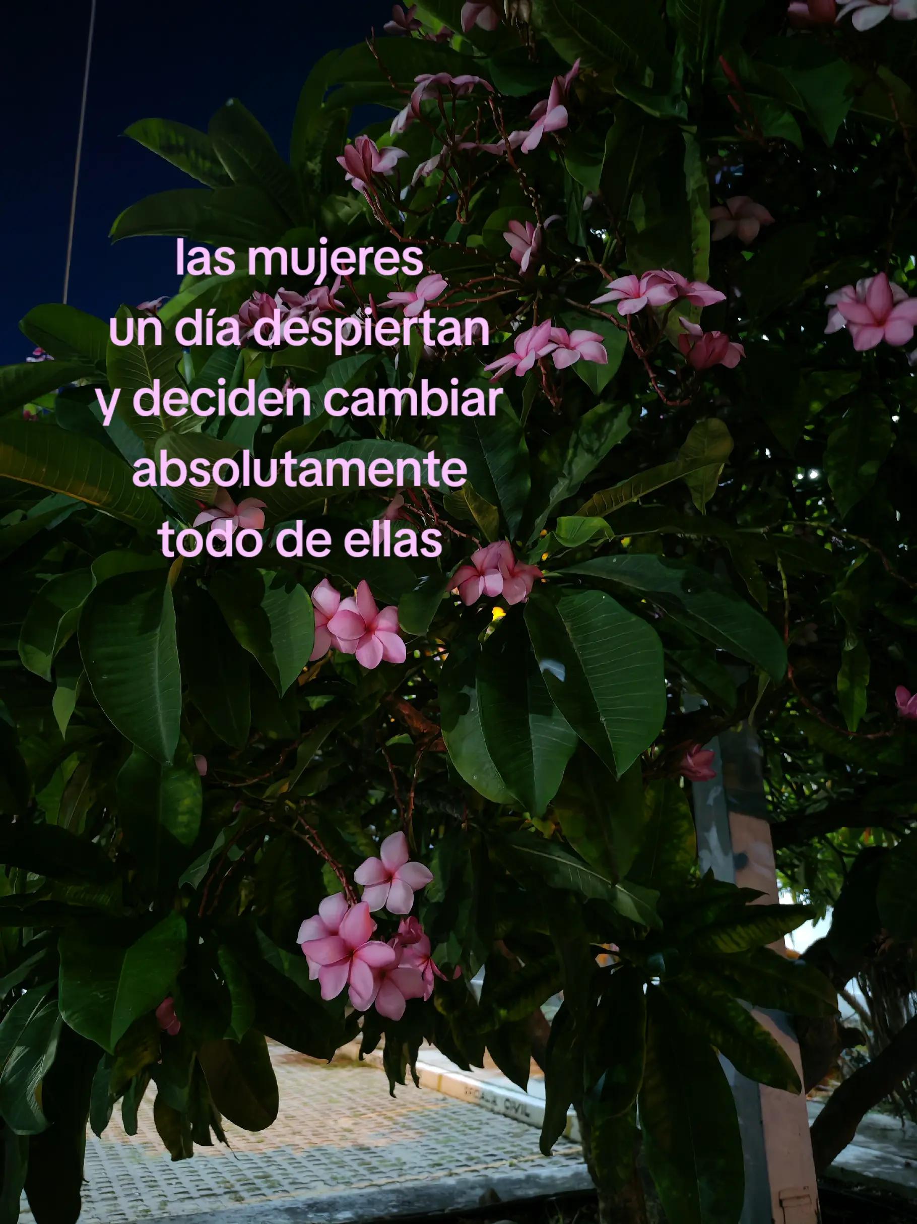 @Luu