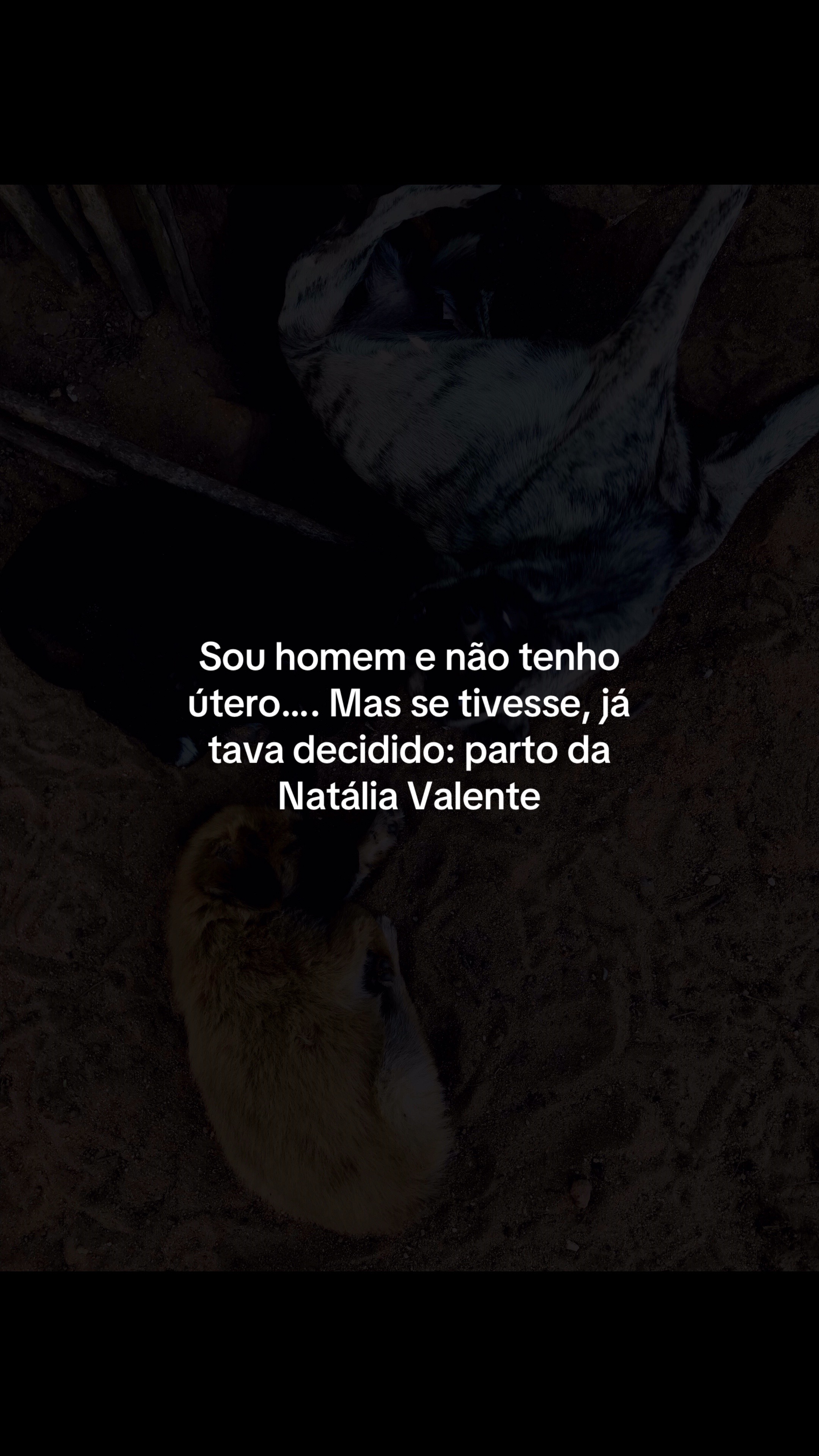 @VEREADOR
