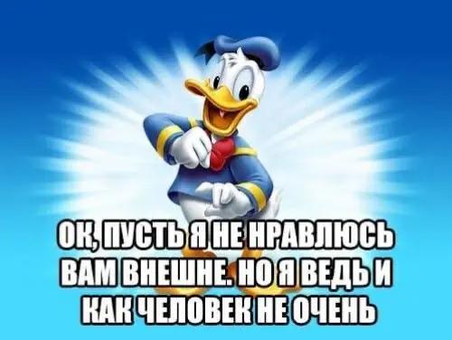 @обортыш