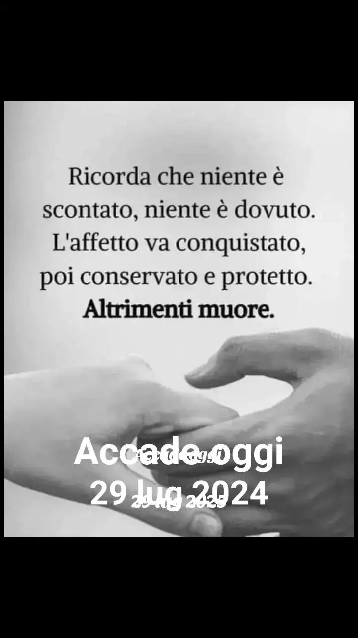 @soniacereghino7