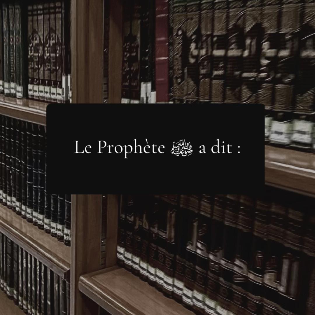 @قـلـب مـغـربـي 🇲🇦