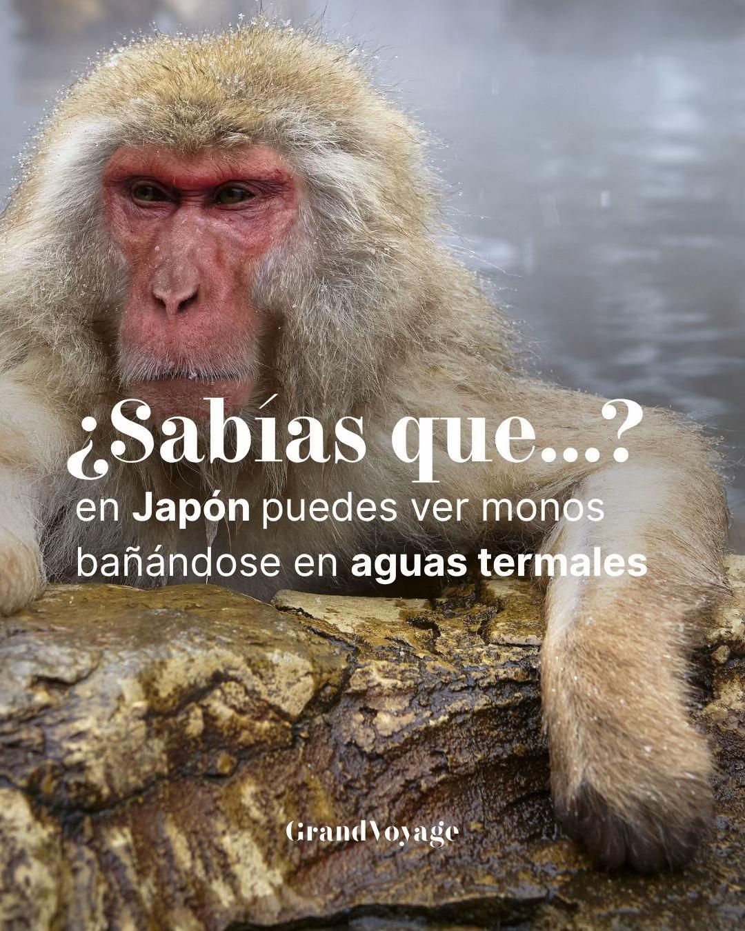 @GrandVoyage