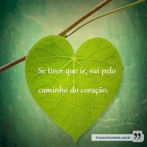 @Joaquim Antas