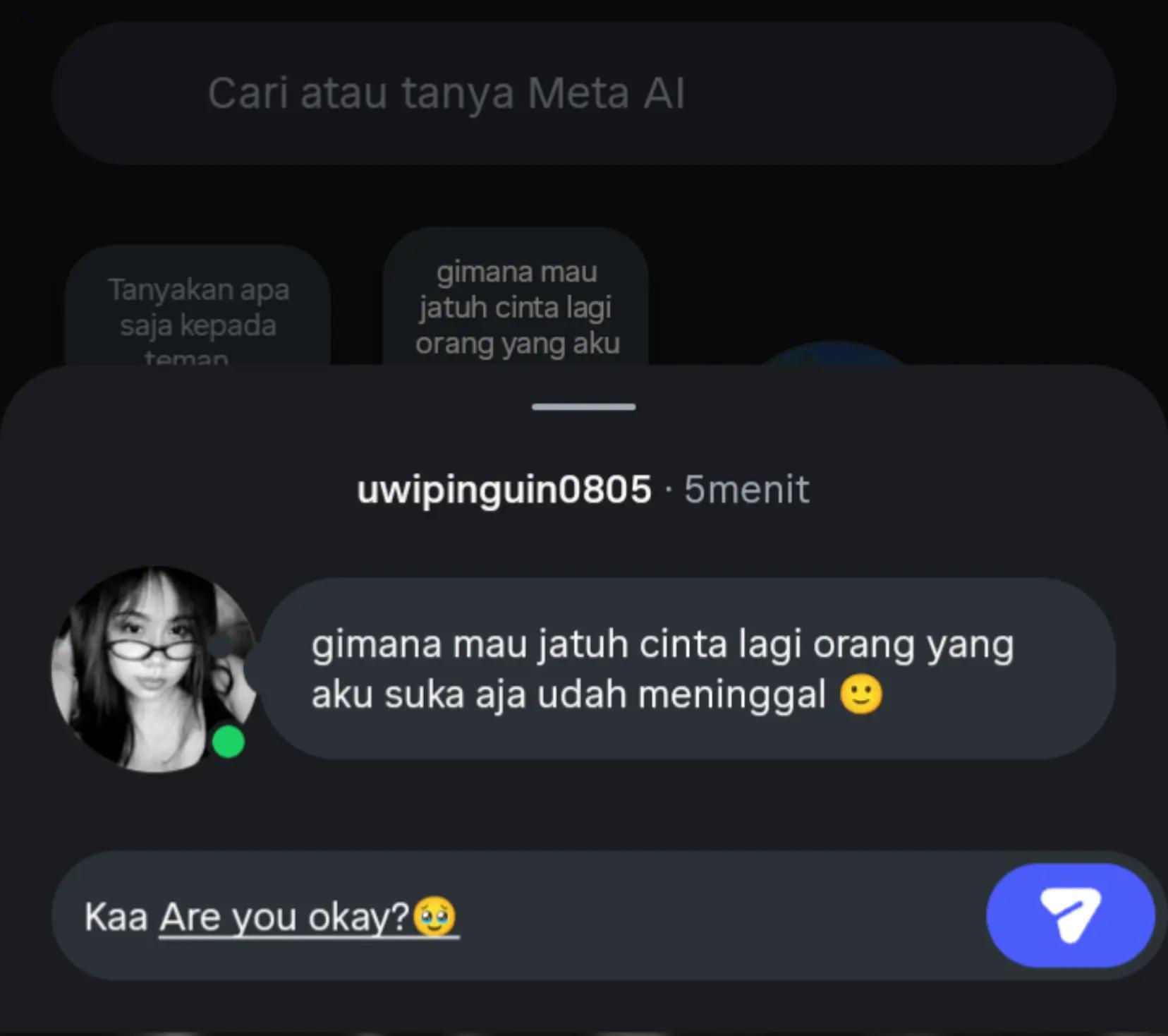 @Pinguin0805