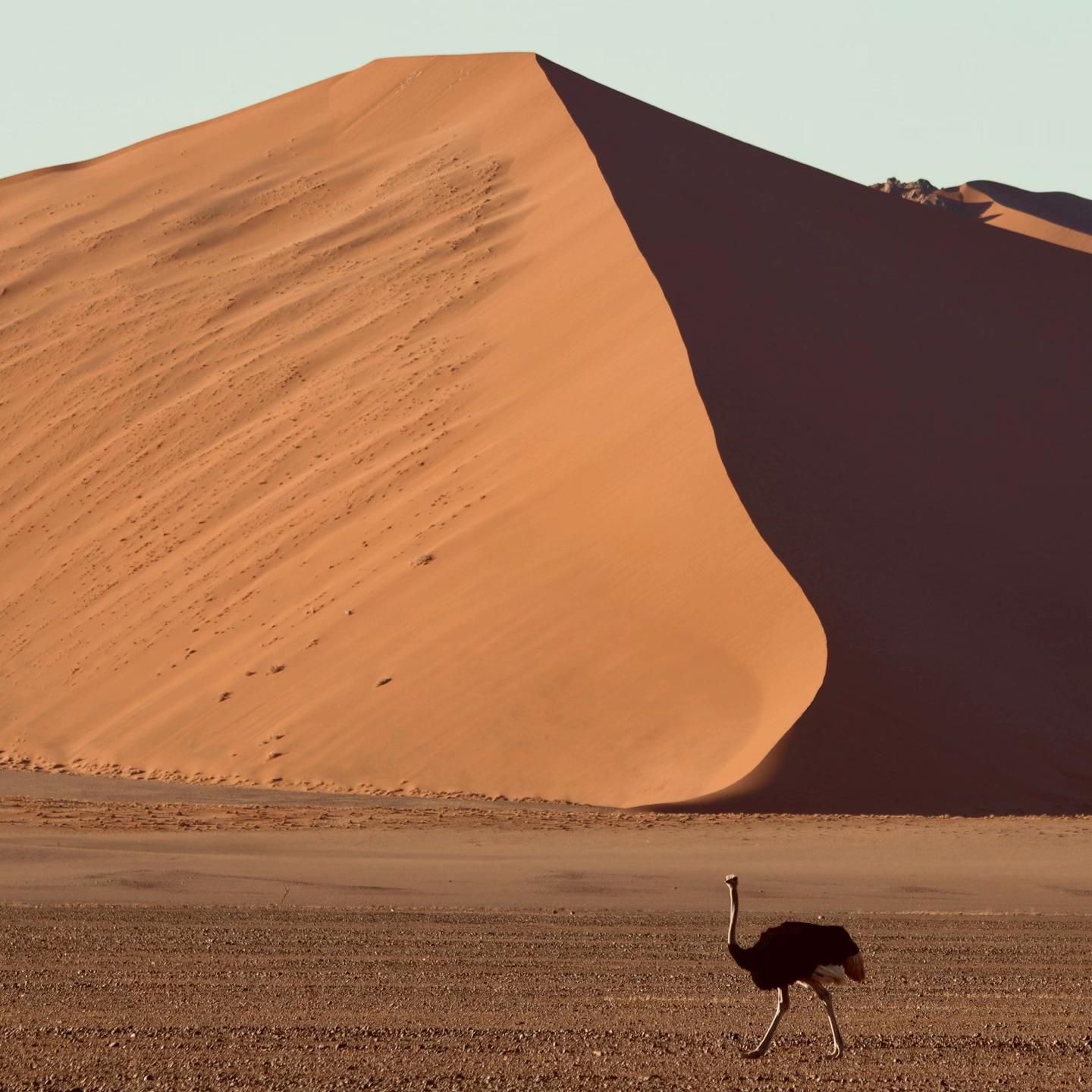 @Solo.Africa.Overland