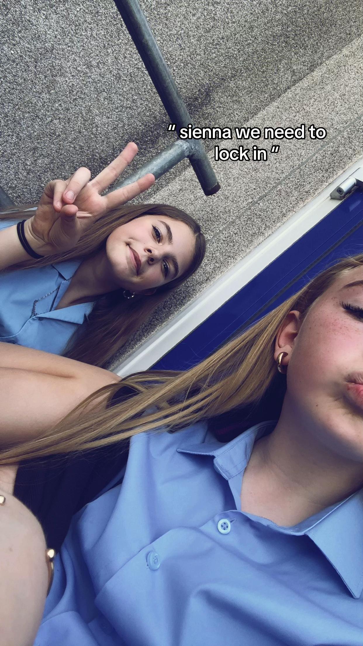 @lilyrosespam🩷