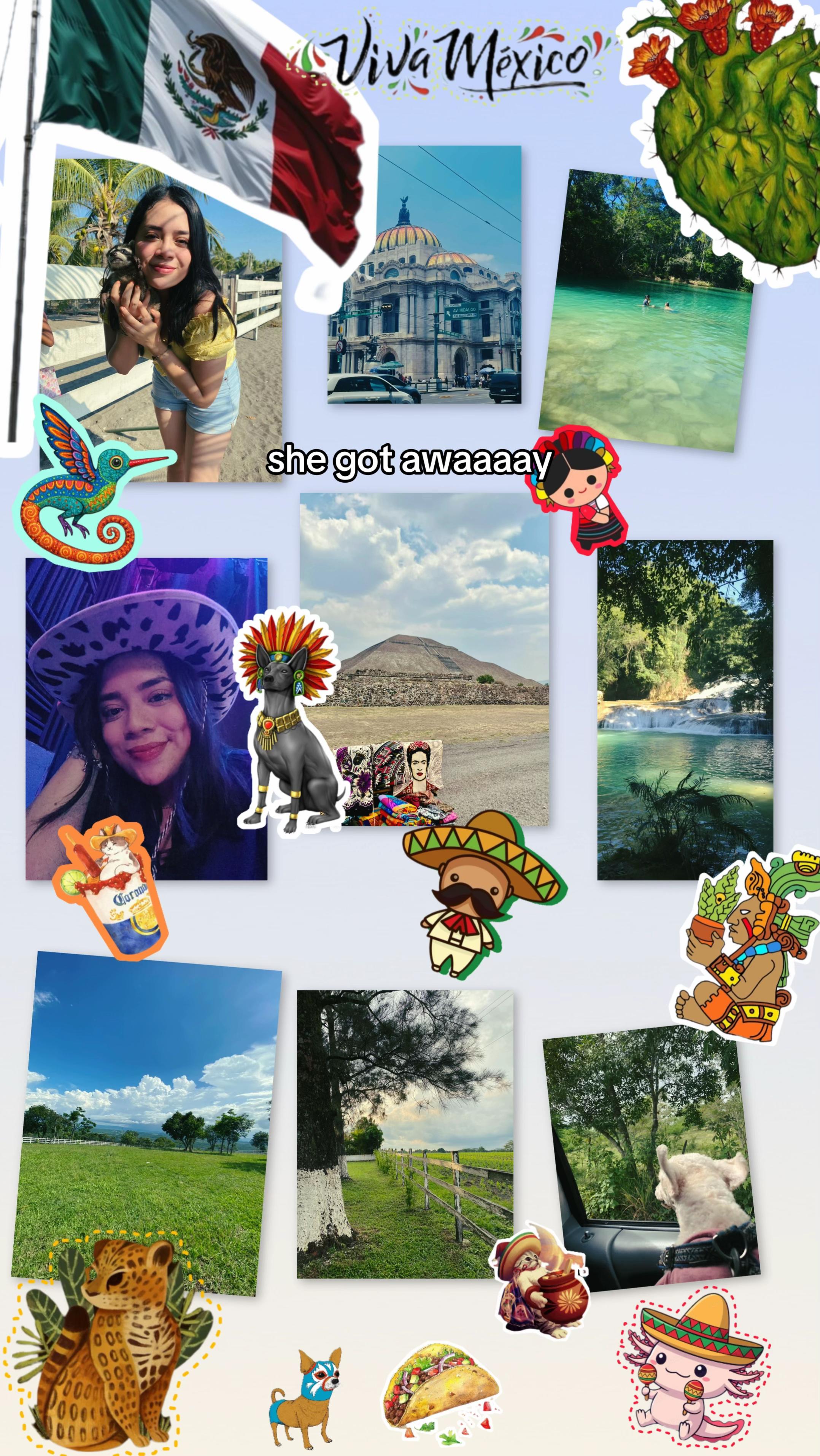 @Sofía Gordillo