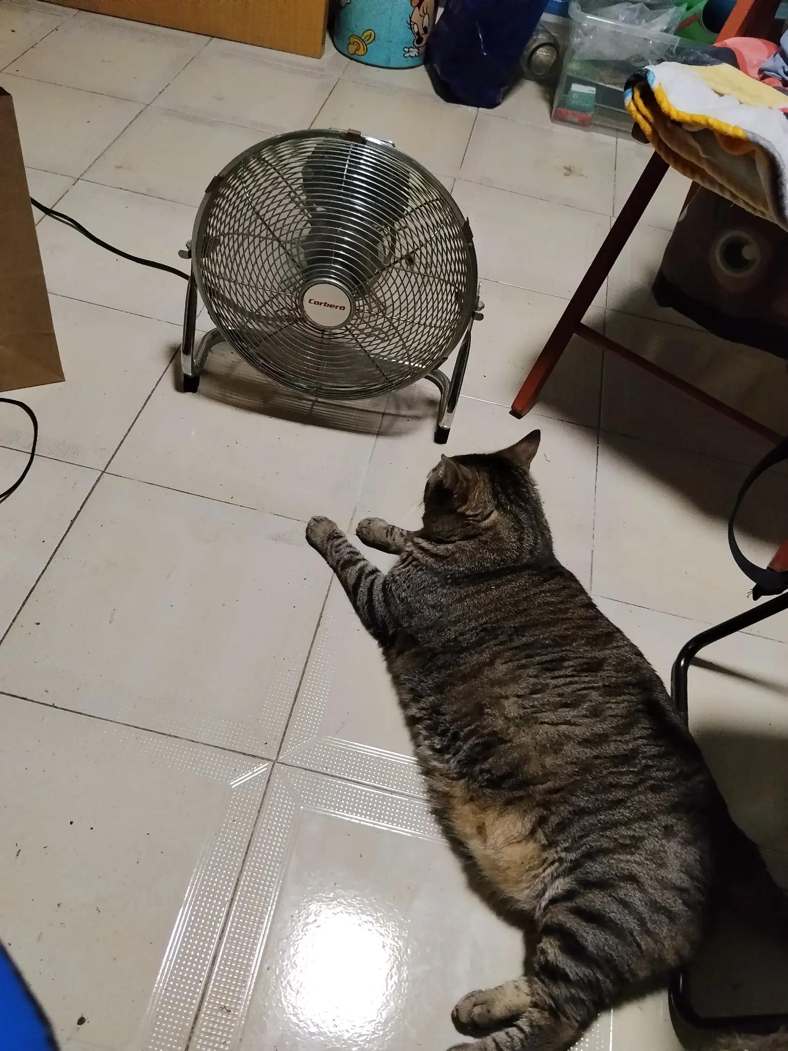 @Mon