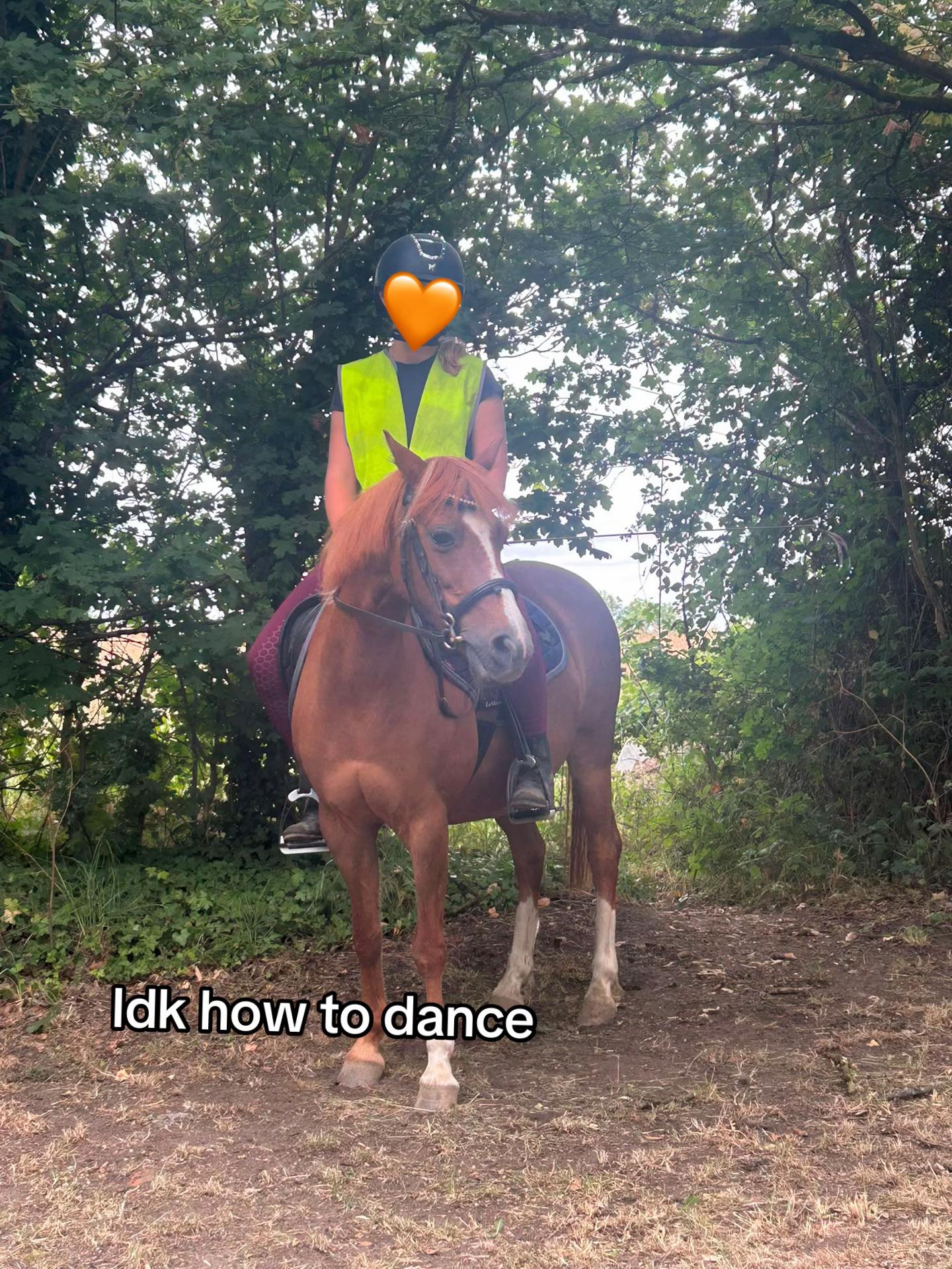 @My8hooves