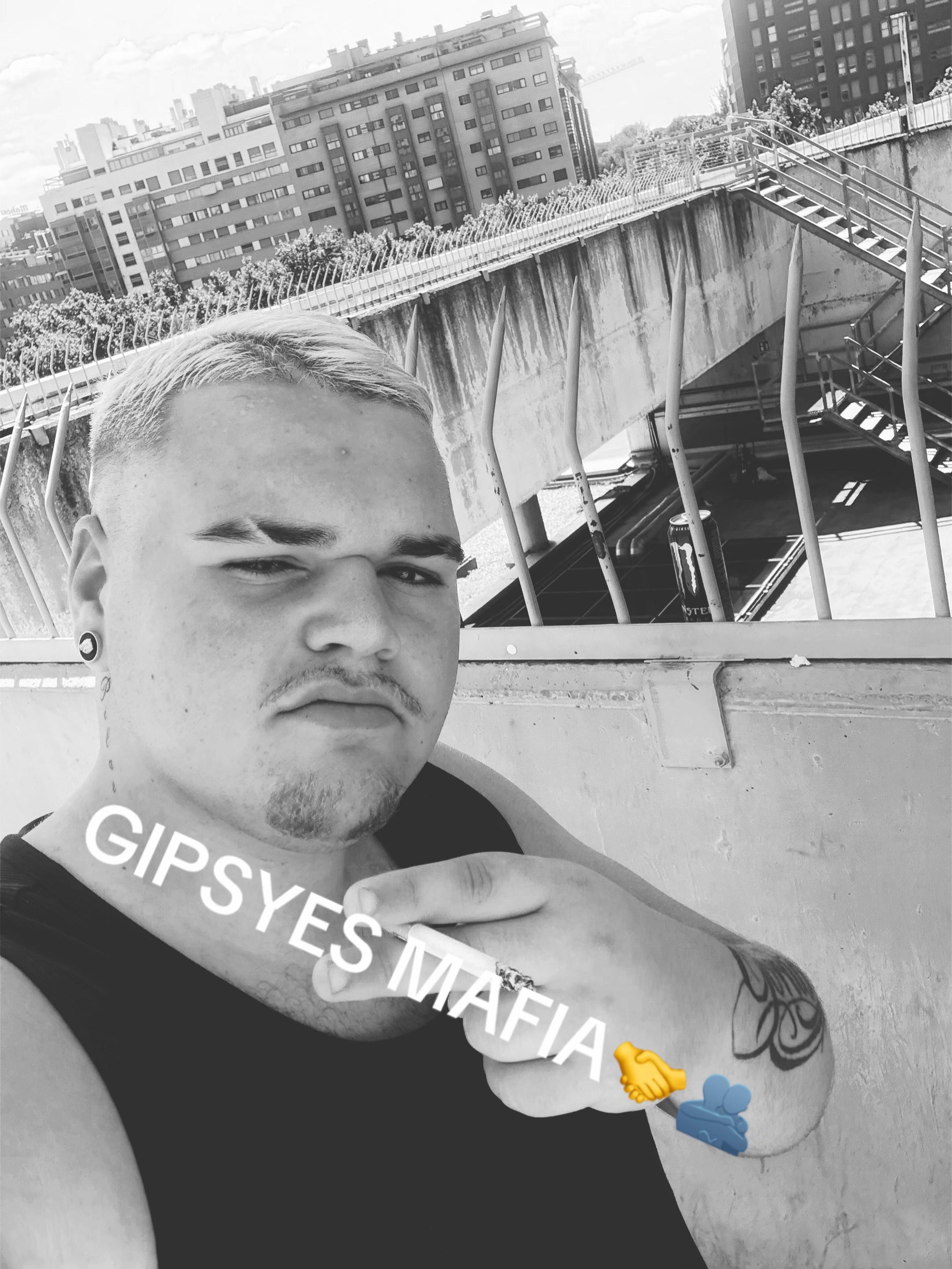 @↘️EL PANDA↙️