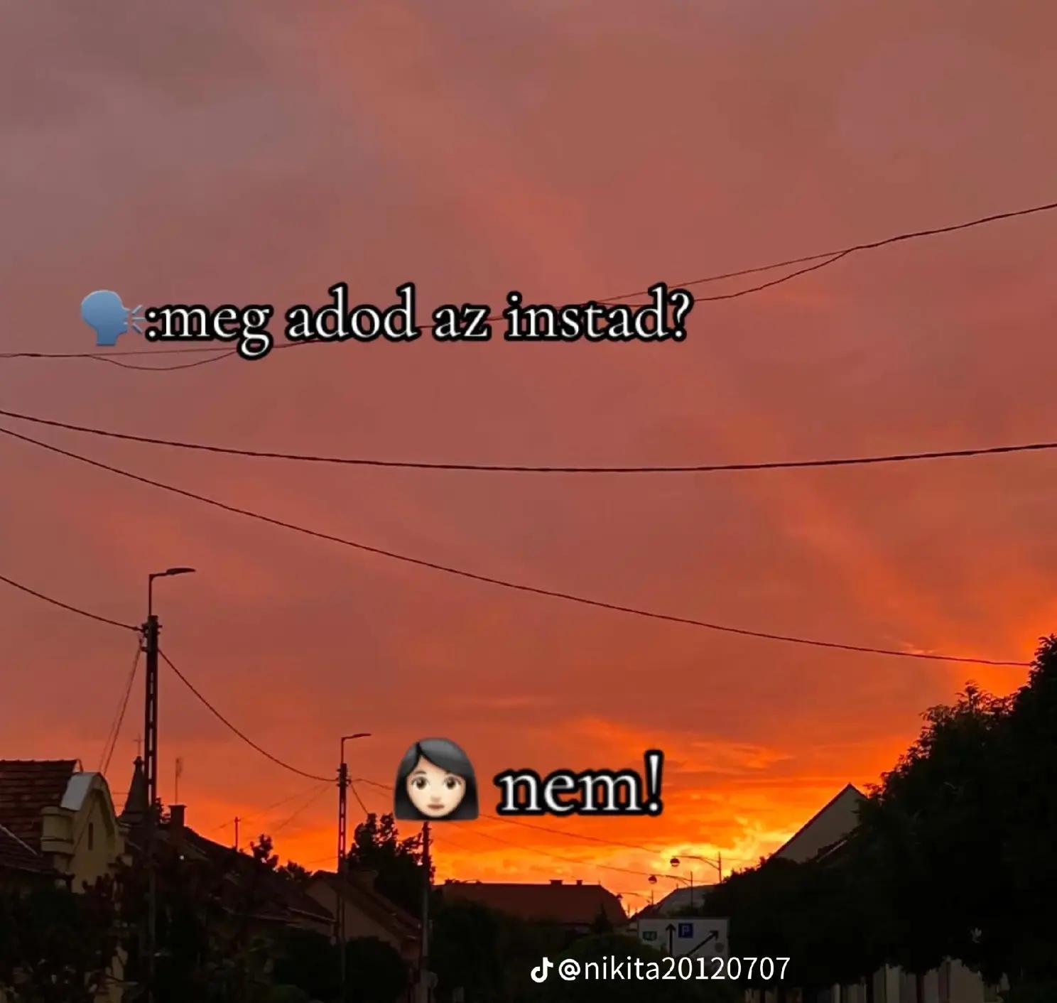 @🐍törpila💚