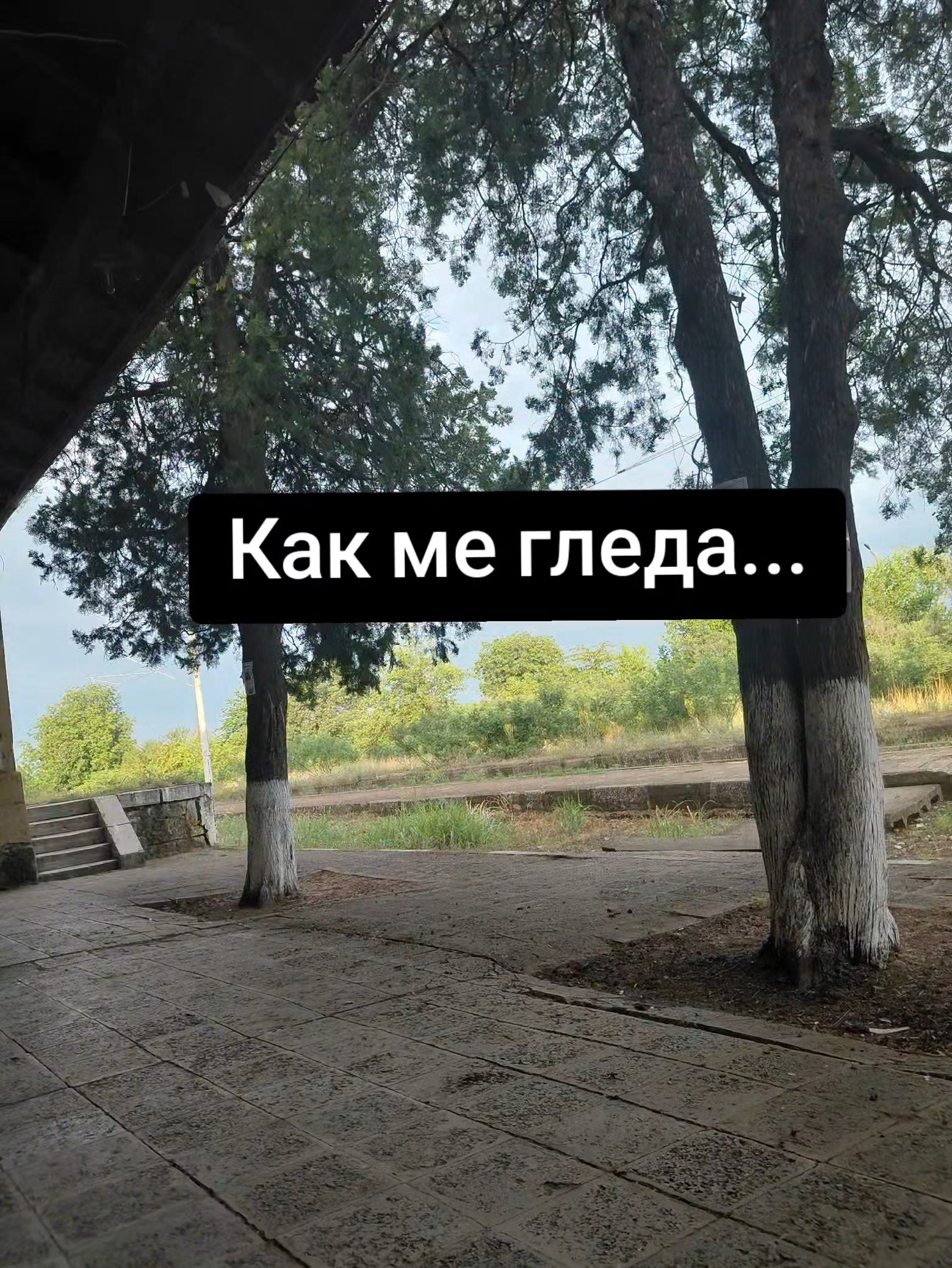@💥Georgiev_07💥