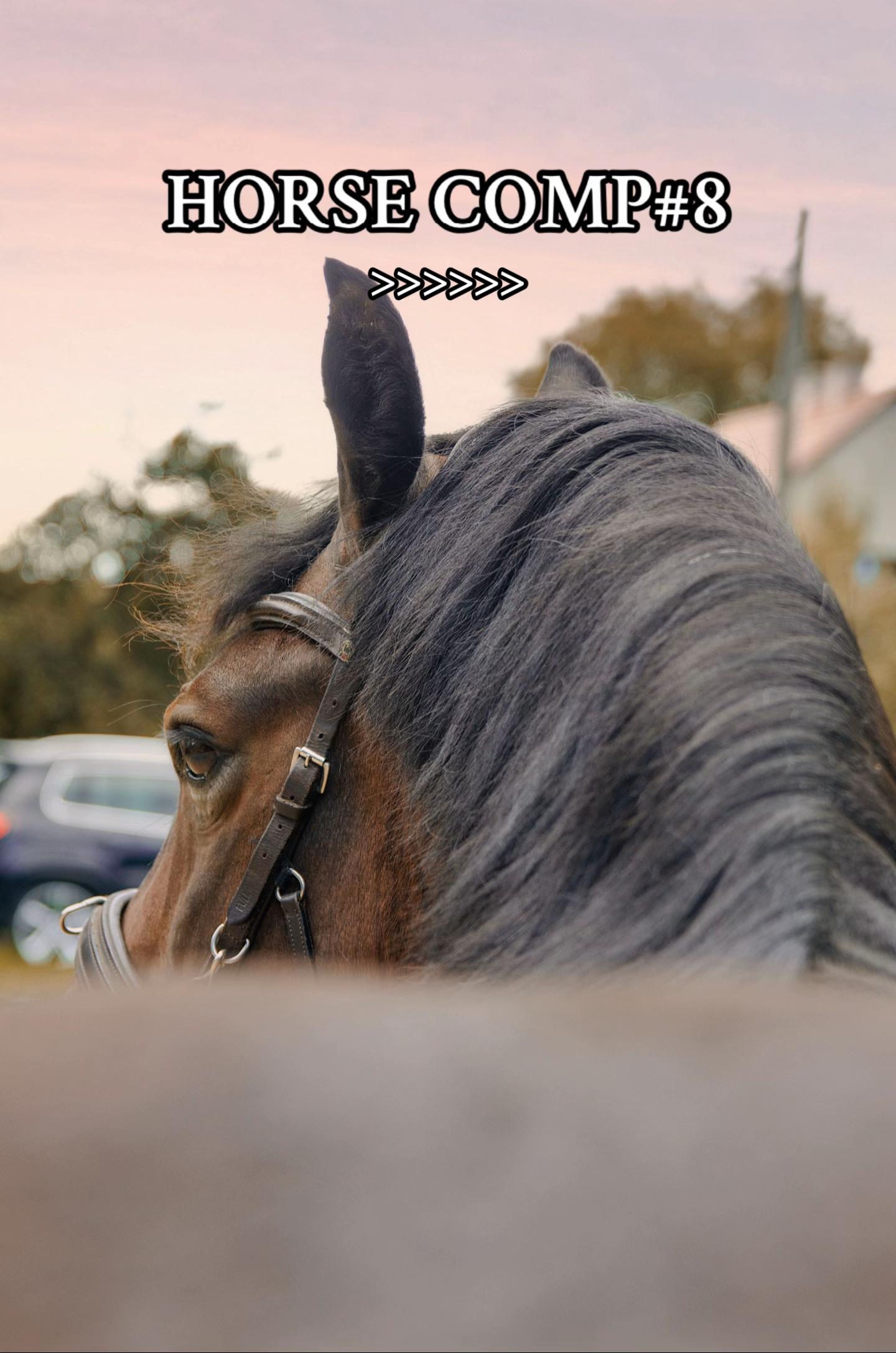 @equestrian._comps