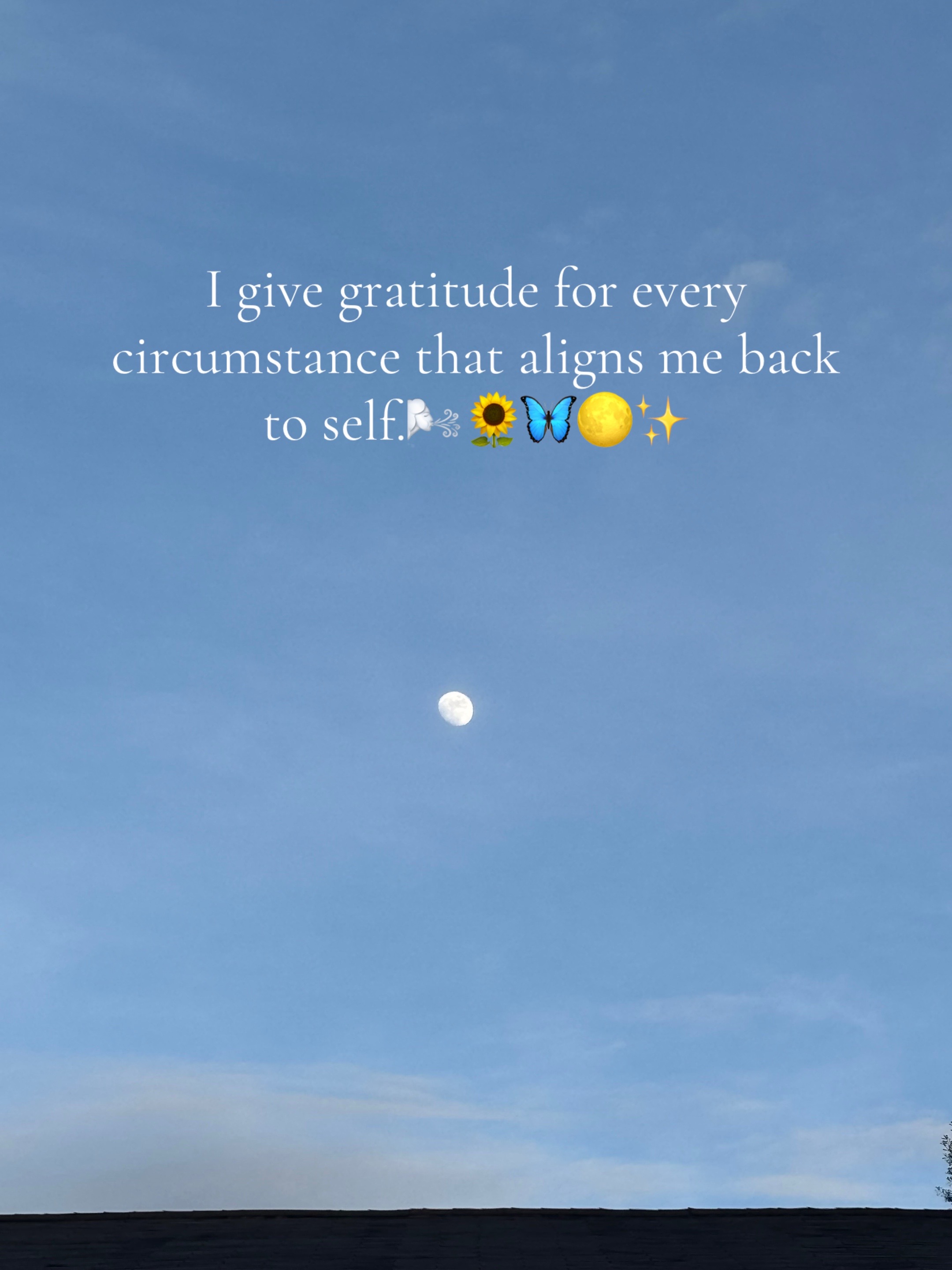 @TheAlchemist🌻_EarthAngel🤲🏾✨