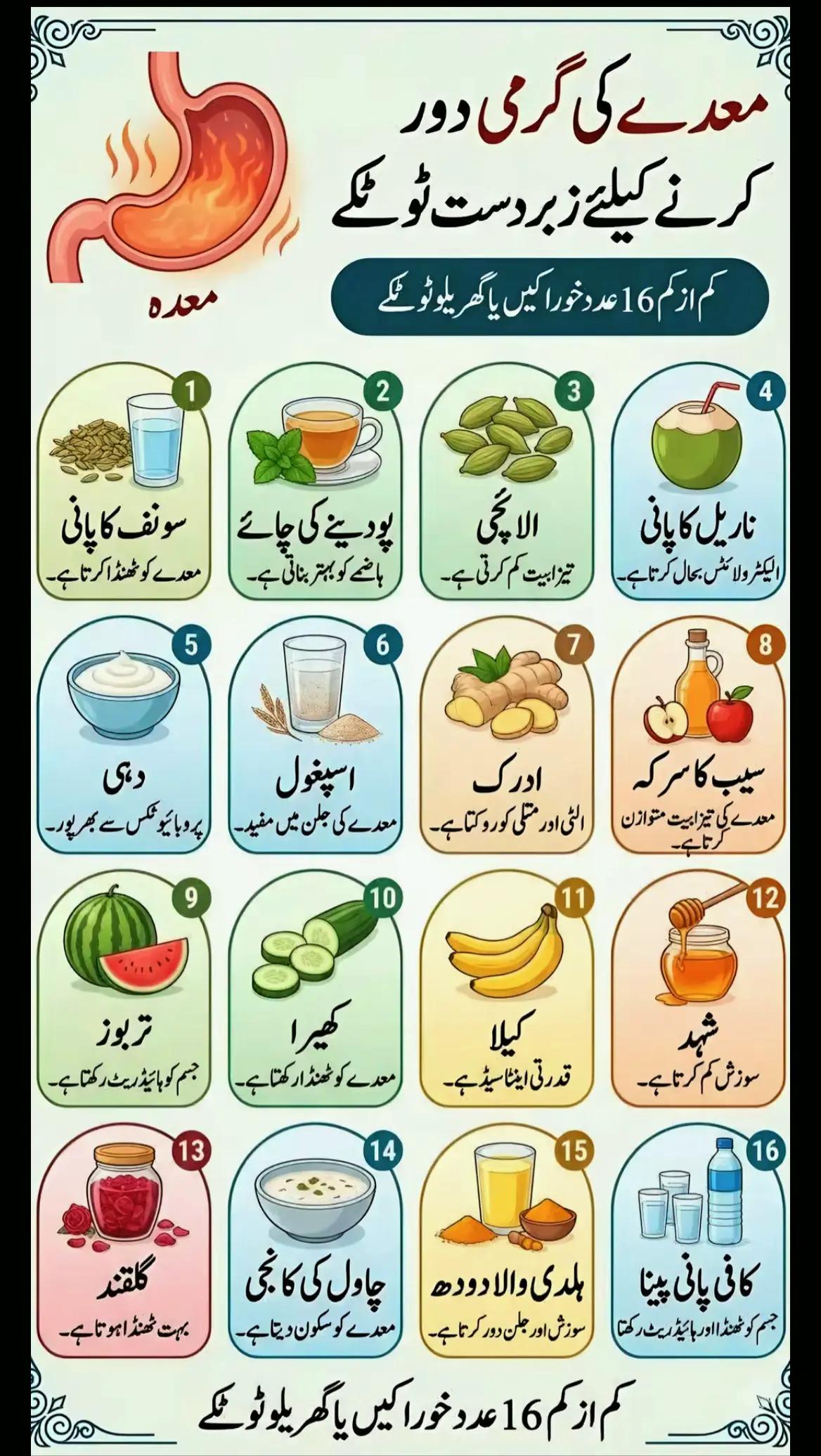 @𝗦𝗼𝗵𝗻𝗮 𝗗𝗮𝘄𝗮𝗸𝗵𝗮𝗻𝗮